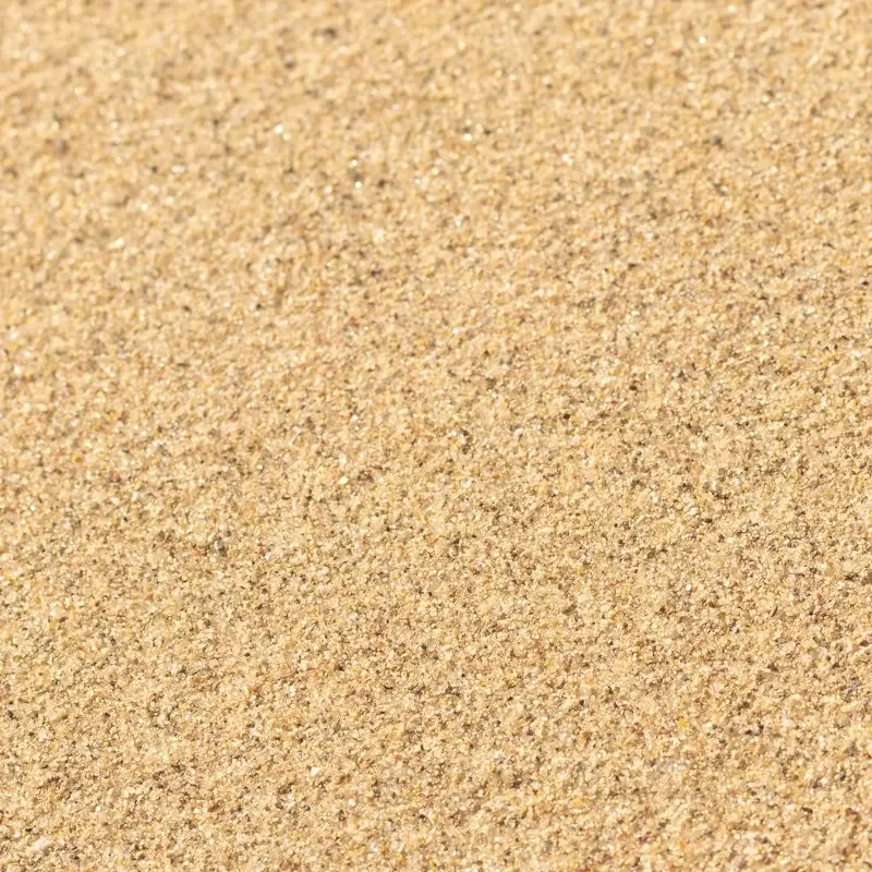 Close-up of sandy beach with fine, light-brown grains.