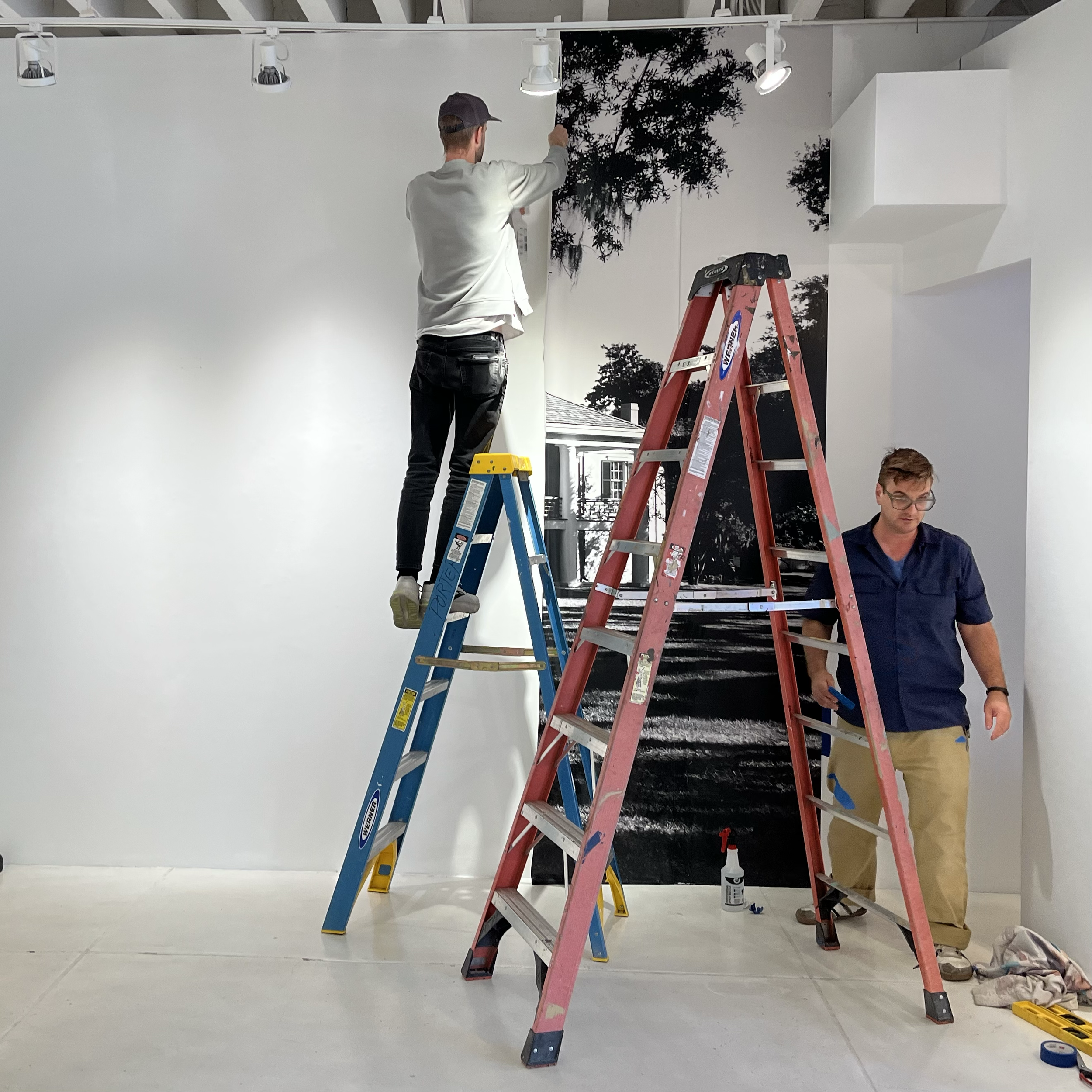 Two men working on a mural painting inside a studio. One man is standing on a blue ladder, painting a wall with a tree silhouette. The other man is standing near a red ladder. 
