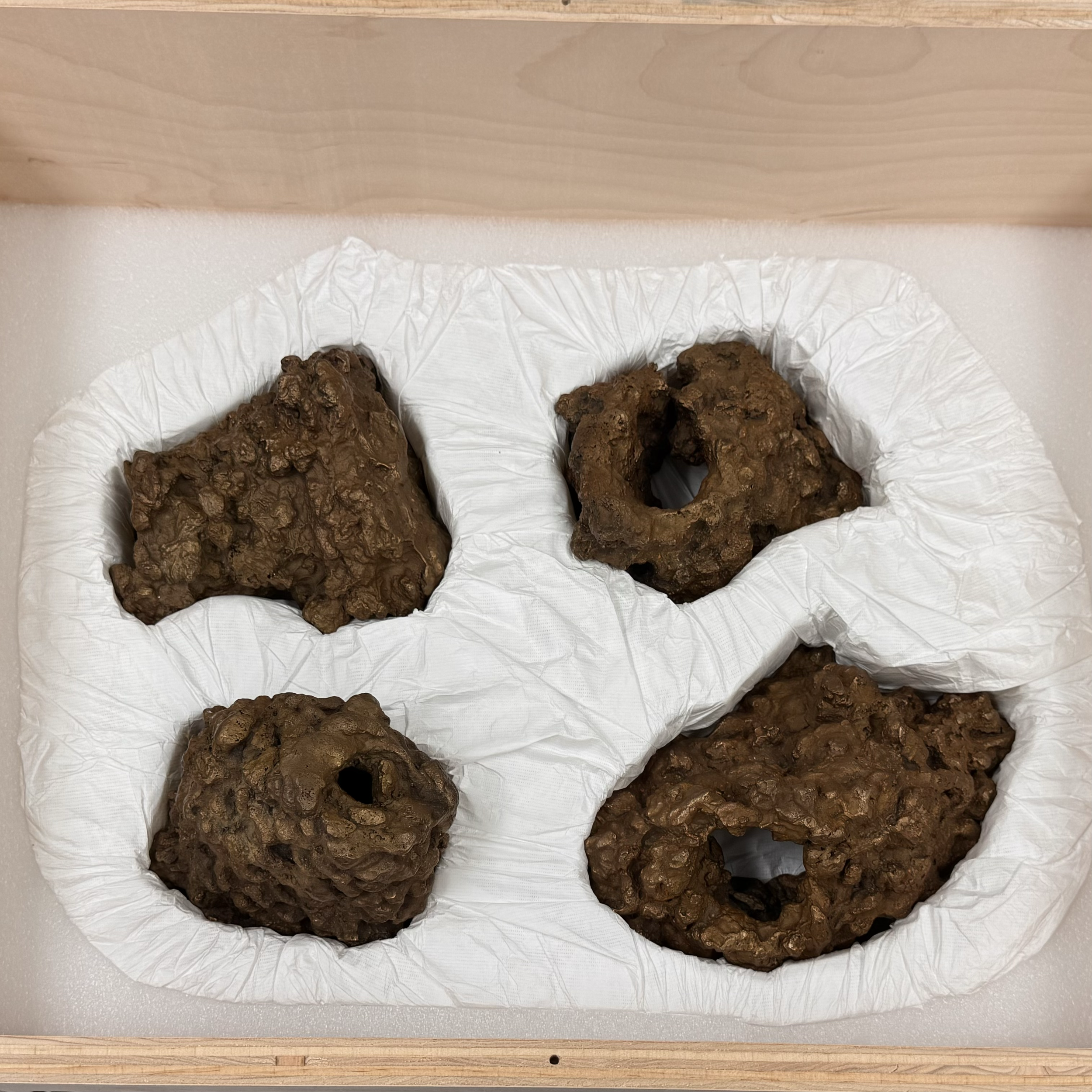 A piece of raw liver placed on a white paper towel on a wooden surface.