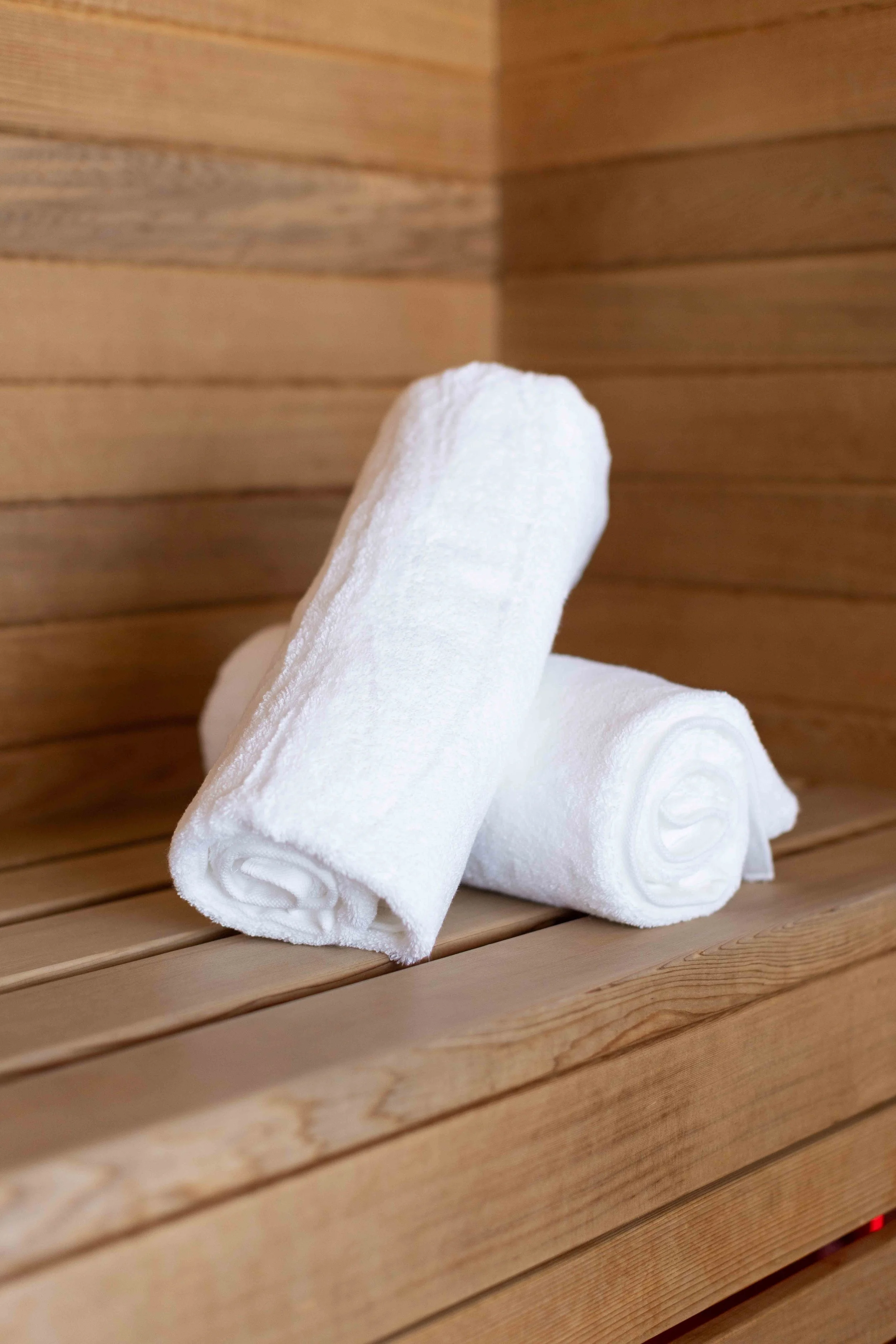 Toronto-Custom-Saunas-11.jpg