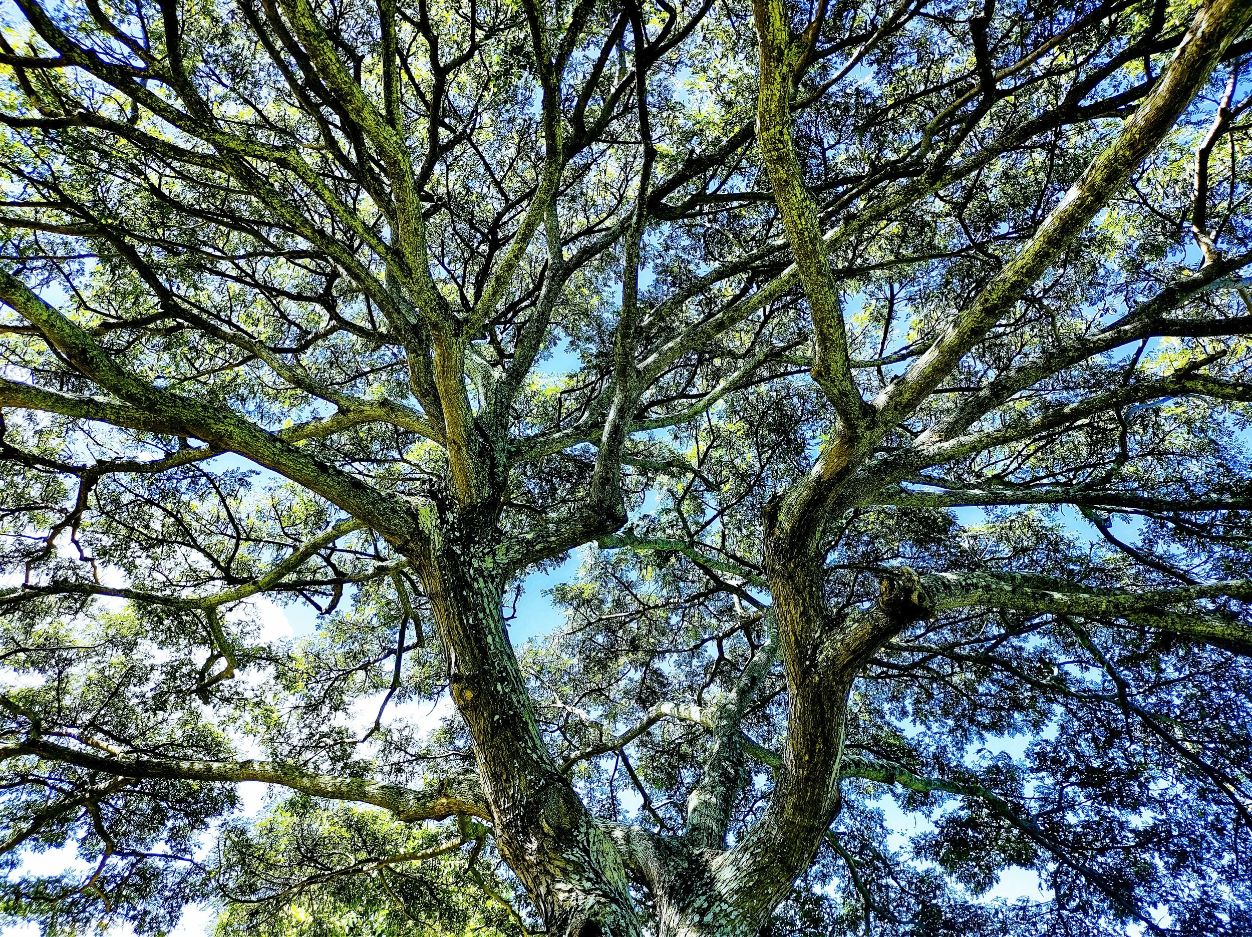 IMG_20220130_123047604_HDR_2.jpg
