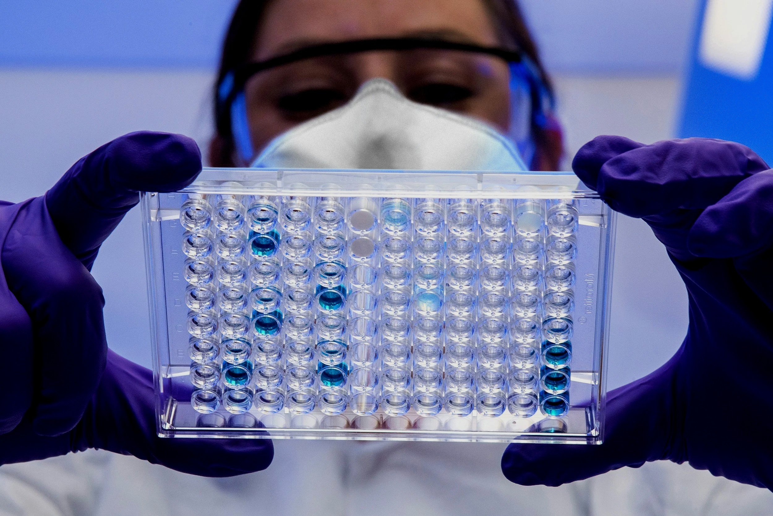 A scientist wearing gloves and a face mask examining a tray of test tubes filled with blue liquid.