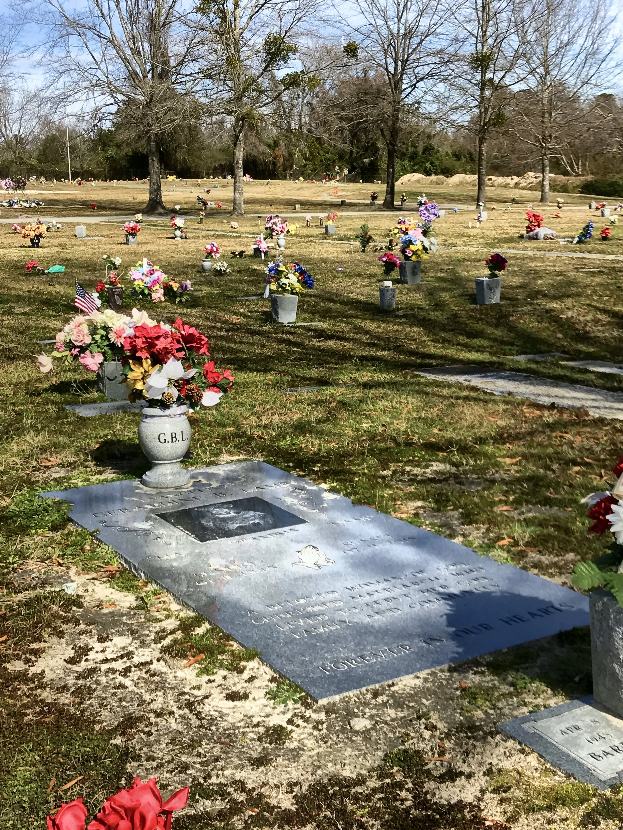 A cemetery with numerous graves adorned with flowers, American flags, and headstones, with leafless trees in the background during daytime.