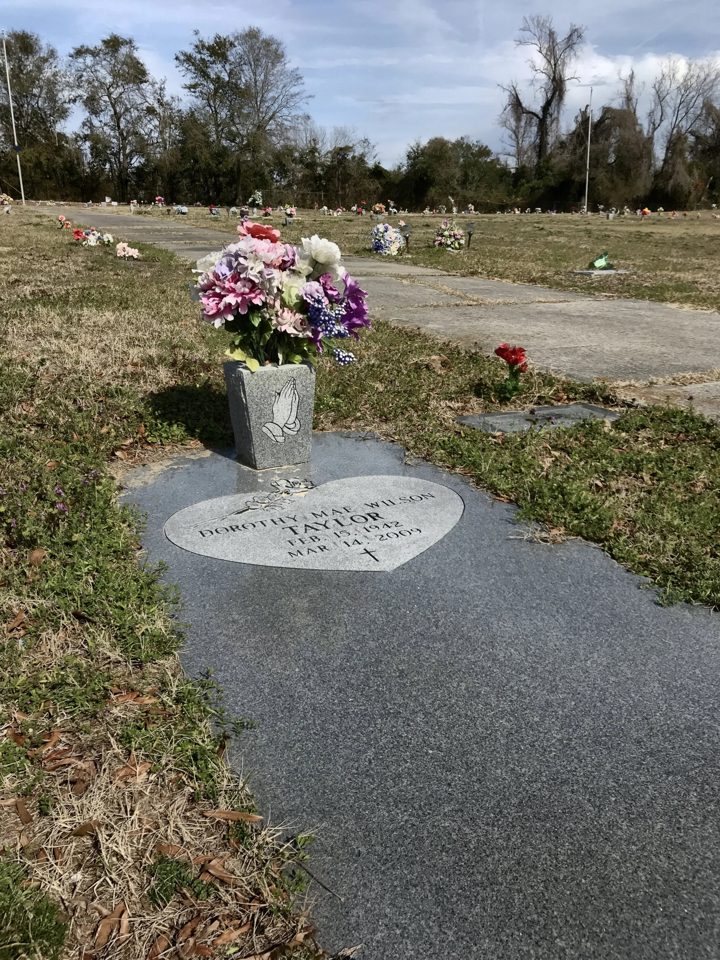 A cemetery with rows of graves decorated with flowers, a concrete pathway, and barren trees in the background.