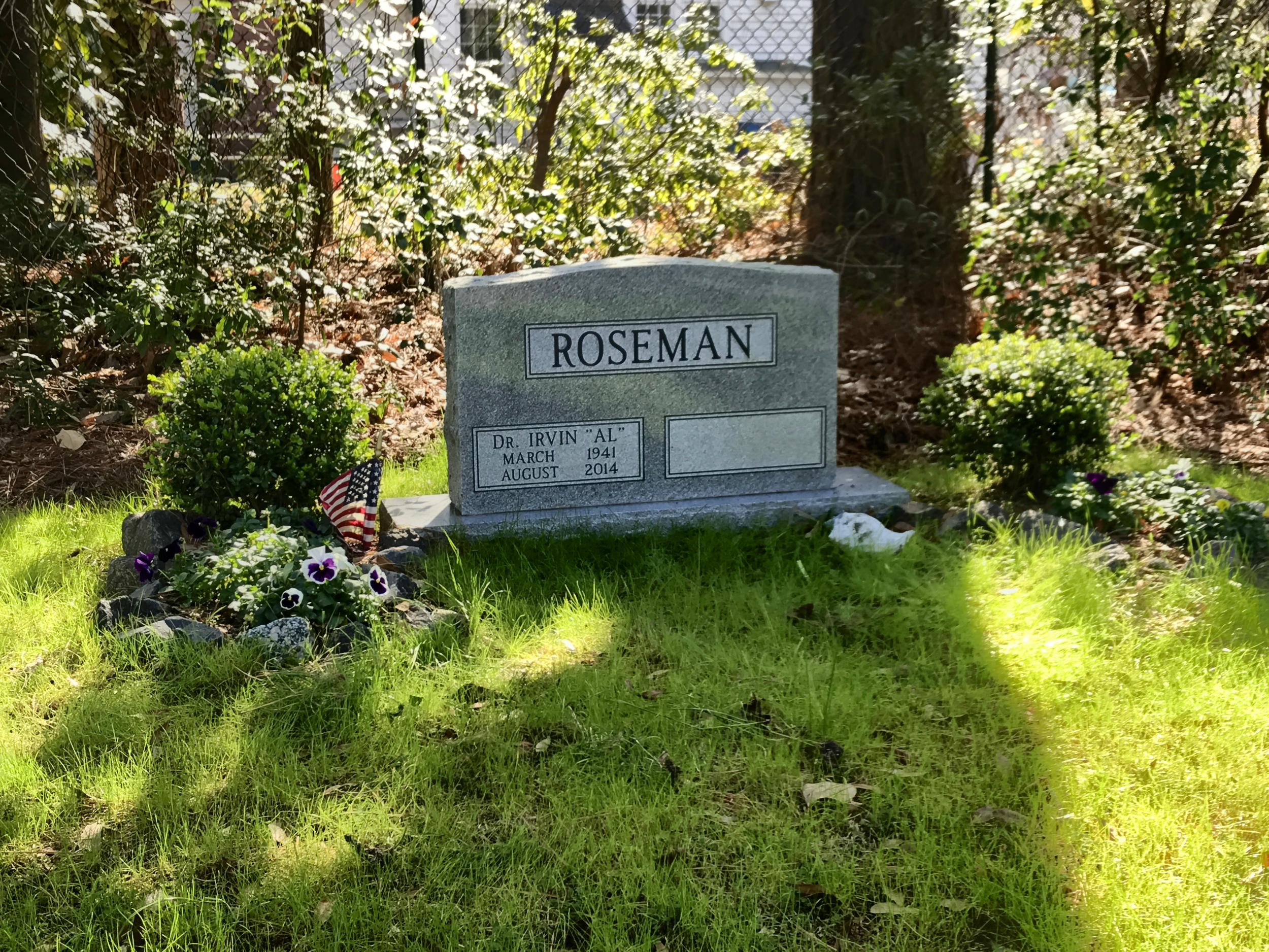 A gray headstone with the name 'Roseman' engraved on it, surrounded by small bushes, flowers, and decorations, with a chain-link fence and trees in the background.