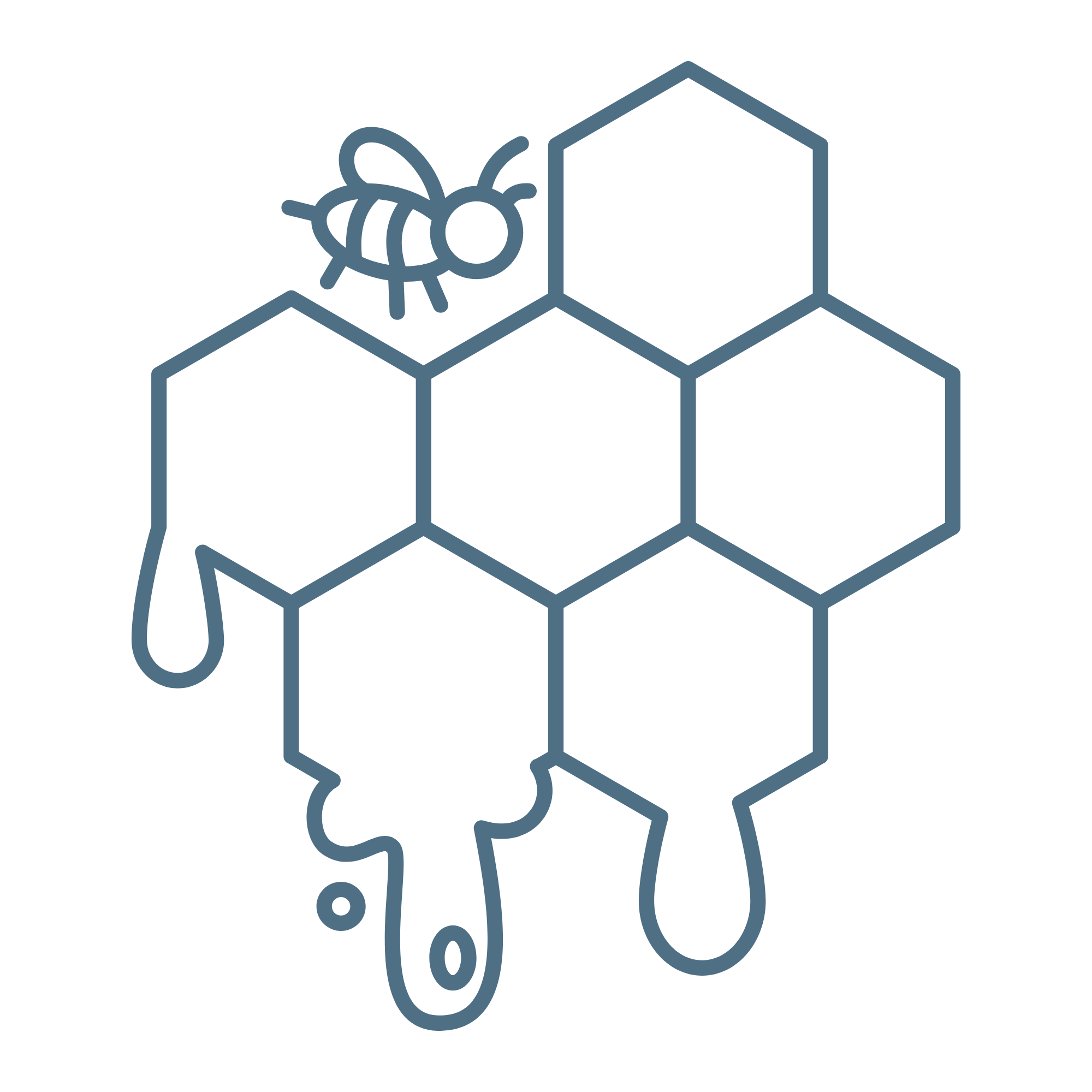 honeycomb with bee icon honeydrop speech therapy