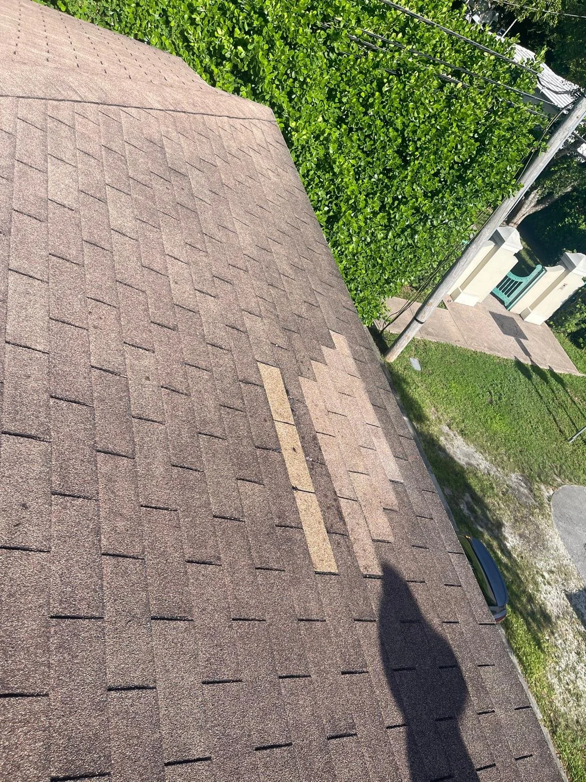 A view from the roof of a house showing brown asphalt shingles, a green hedge, a sidewalk, a utility pole, and part of a street with a car parked along it.