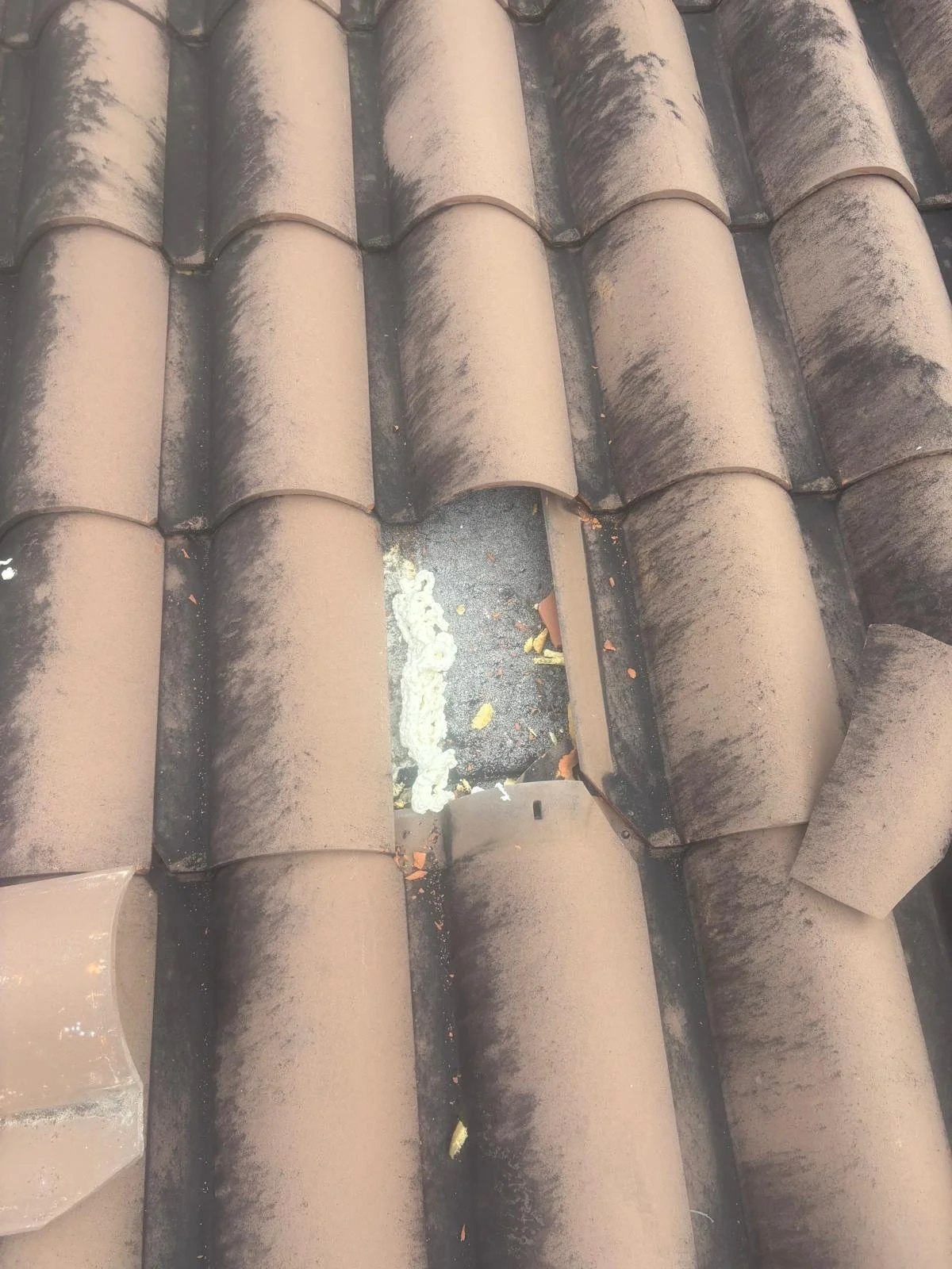 A close-up view of a section of a sloped roof with old, dusty, and dirty brown curved ceramic tiles. There is a small opening between the tiles exposing debris, dirt, and some patches of white mold or lichen.