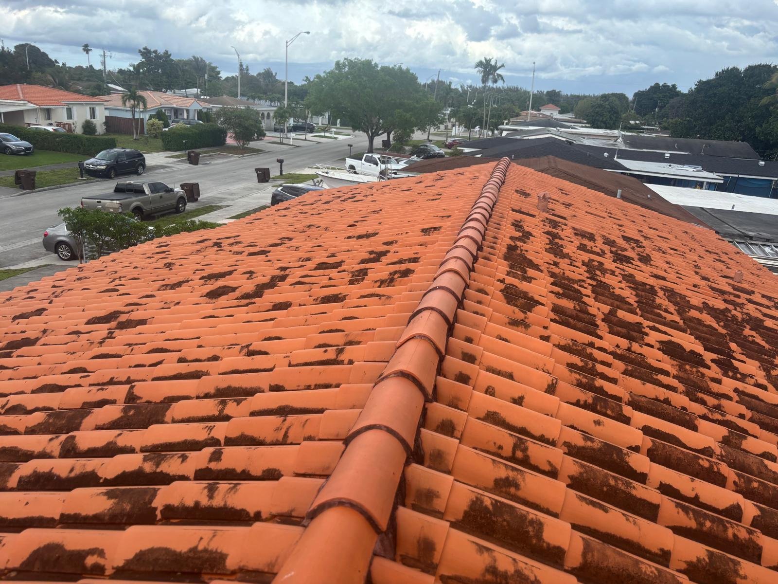 View from a rooftop showing red clay tiles with mold or dirt, overlooking a suburban neighborhood street with cars parked along the curb, houses, trees, and a cloudy sky.