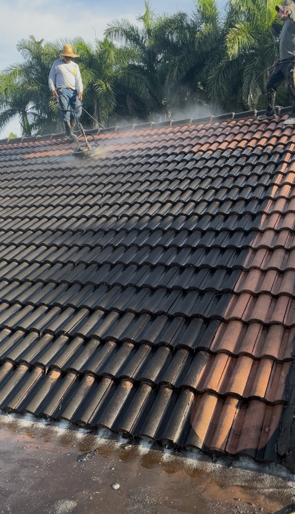 Workers cleaning a tiled roof using pressure washers, with green palm trees in the background.