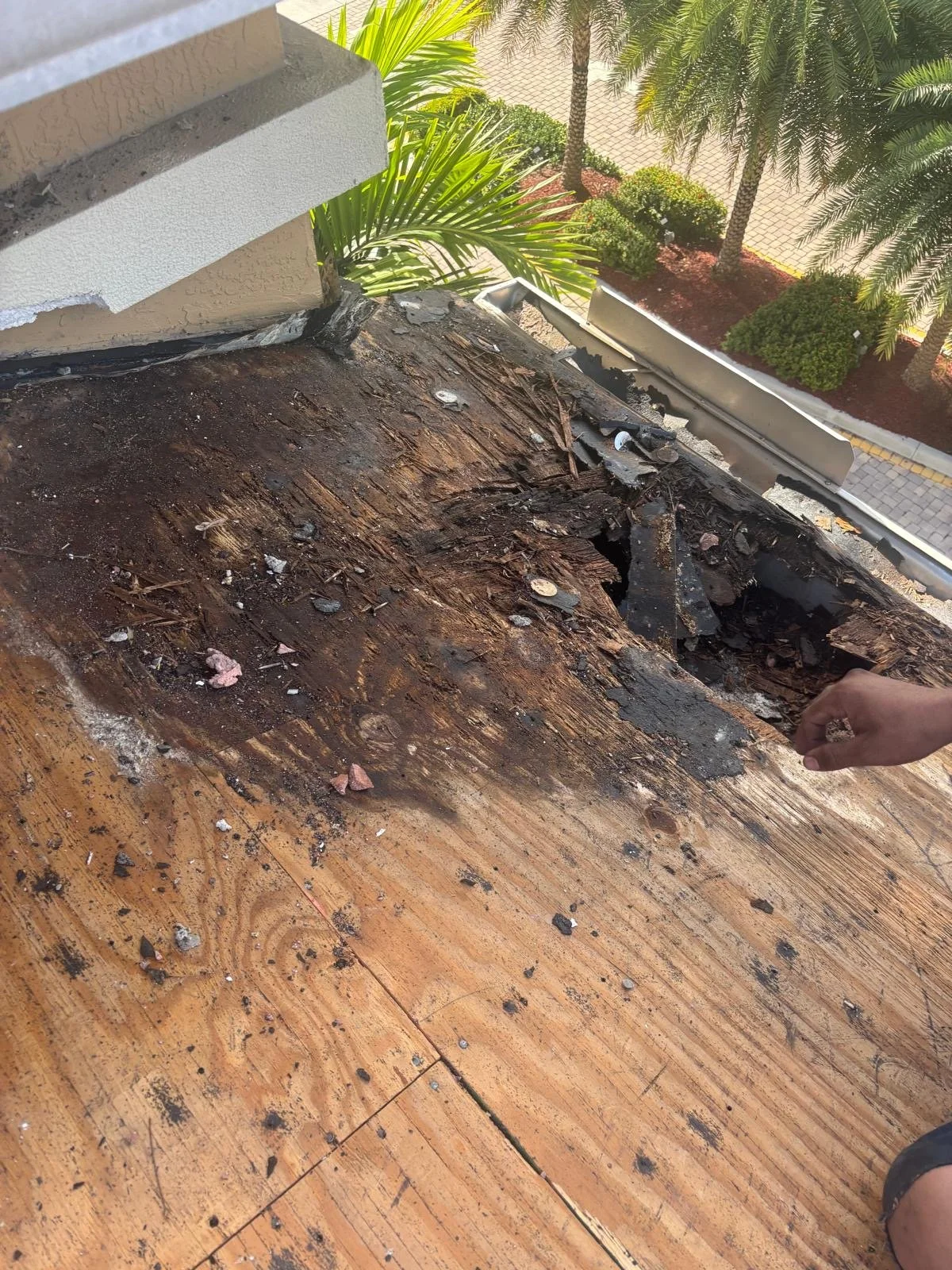 Close-up view of a damaged wooden roof with burnt and charred wood, debris, and a person's hand pointing at the damaged area. The background shows palm trees and a sidewalk with some greenery.