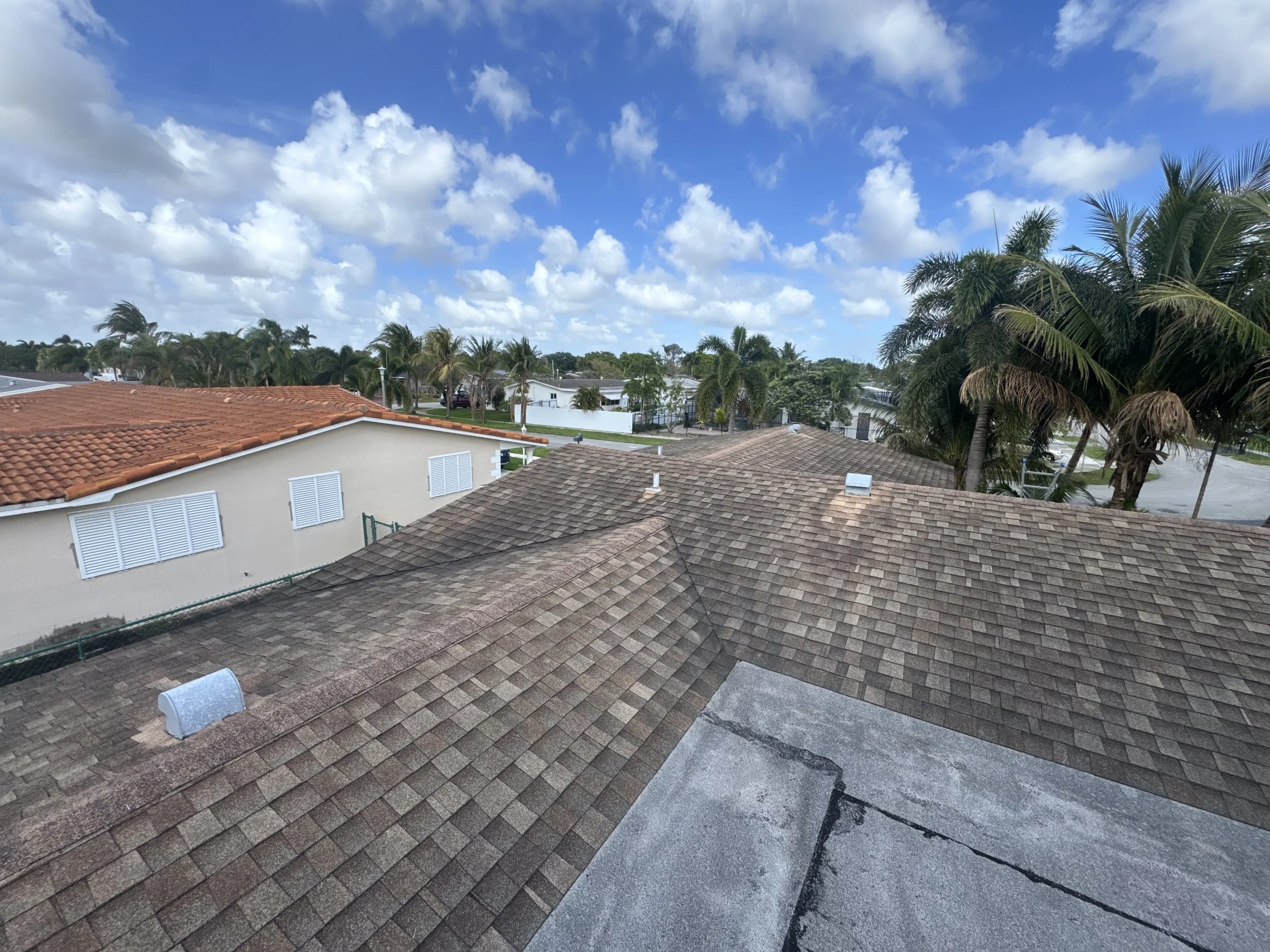 View of rooftops with terracotta and gray shingles, palm trees, and a partly cloudy blue sky in a suburban neighborhood.