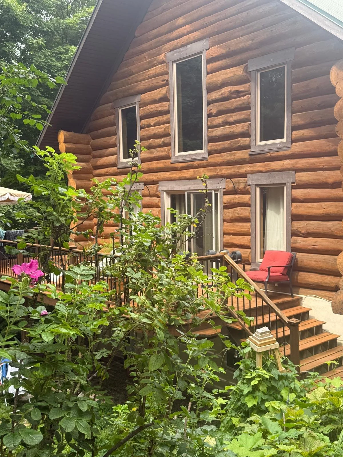 Wooden house with multiple tall windows, surrounded by greenery and a flower bush, with a small porch and steps leading to it. A red chair is on the porch.