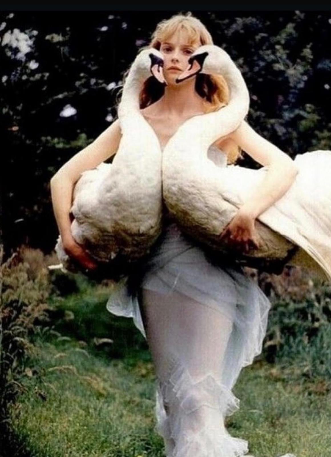 A young woman with red hair in a white dress is standing outdoors holding two large swans with their necks wrapped around her neck like a necklace.