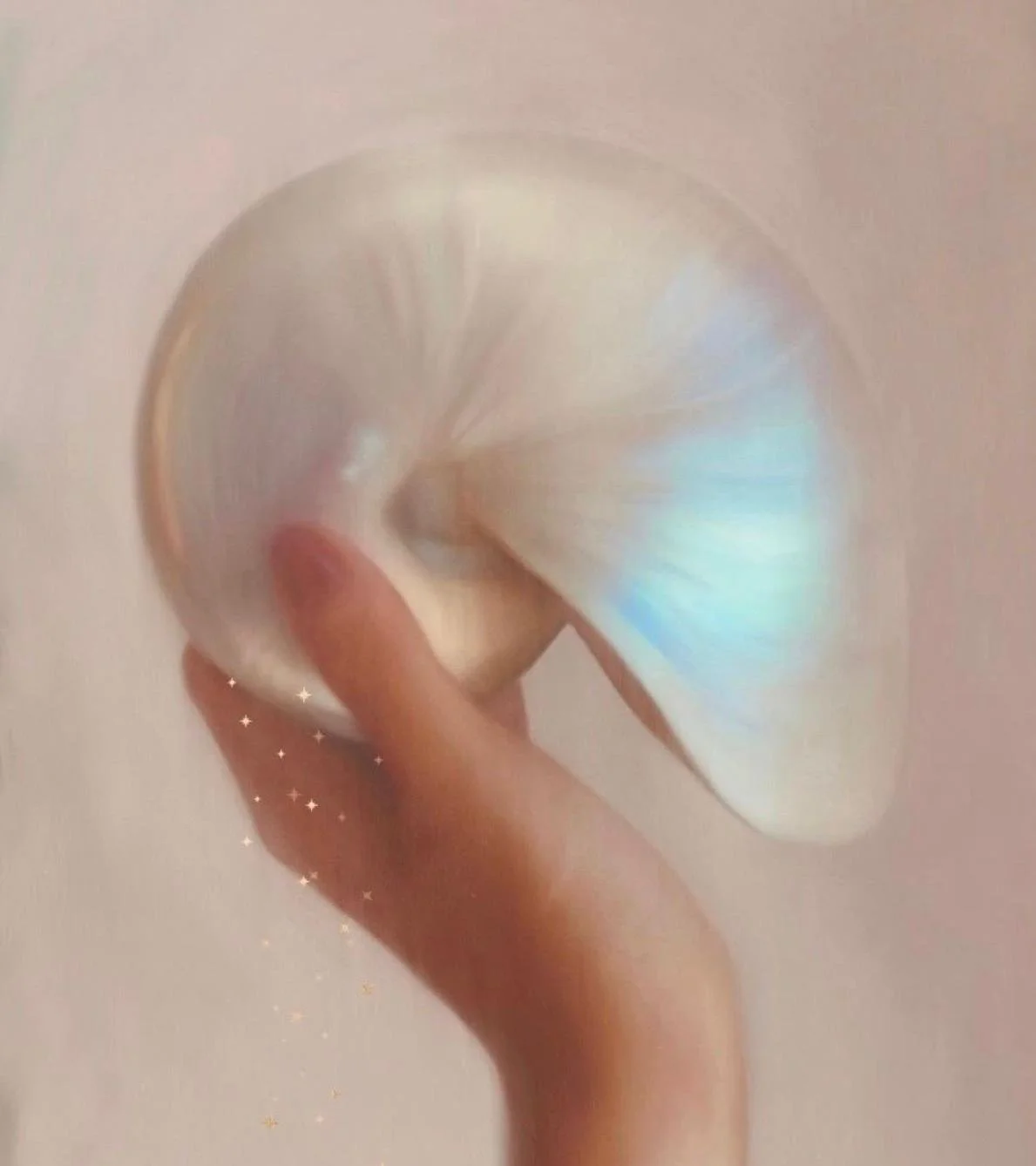 A hand holding an iridescent, cream-colored seashell with a spiral shape against a light background.