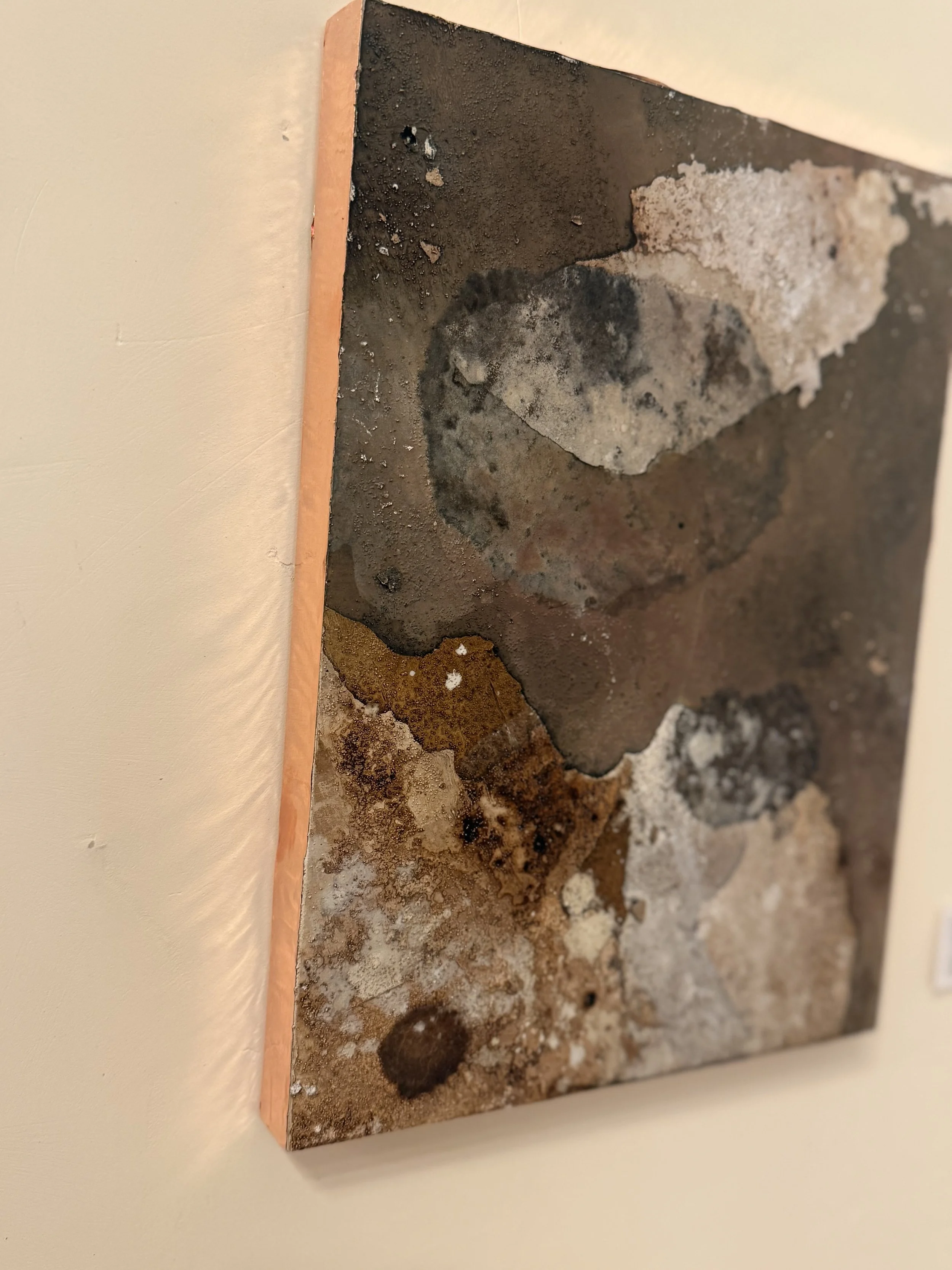 IMG_8508.jpeg