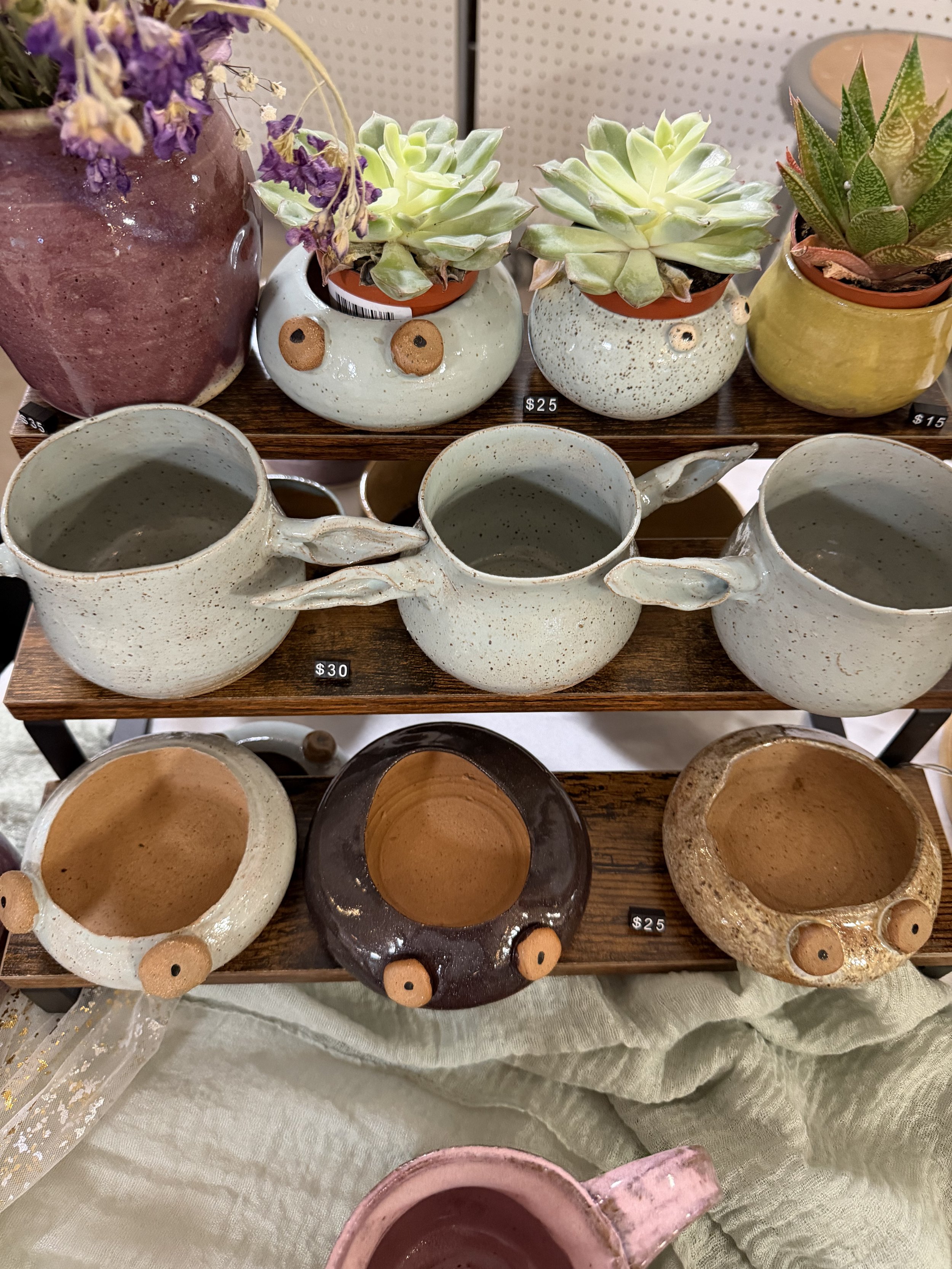 Various ceramic planters and cups with succulents and flowers on a display shelf.