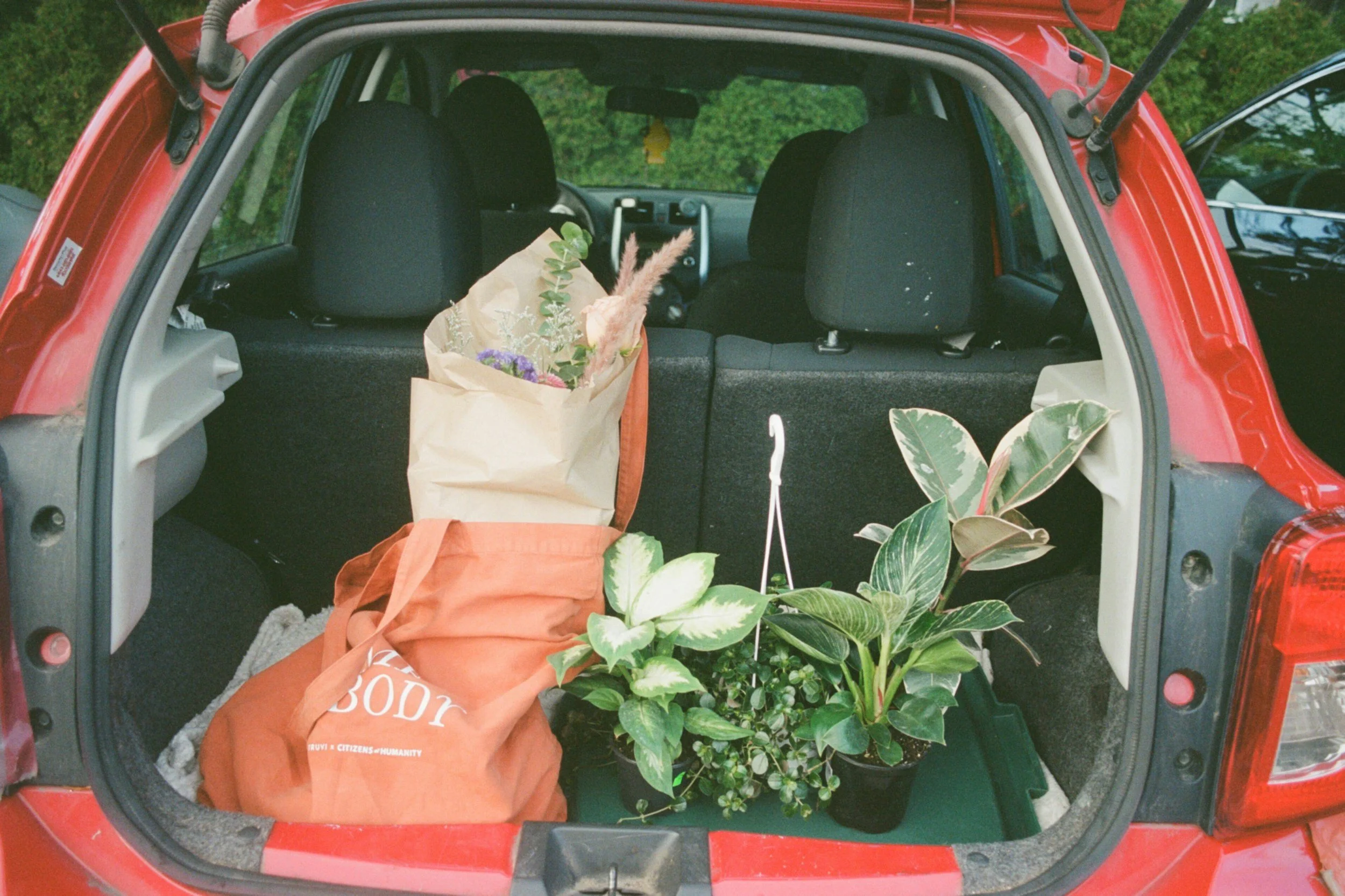 The open trunk of a red car filled with a paper bag of flowers, a large leafy plant, and a brown paper bag.