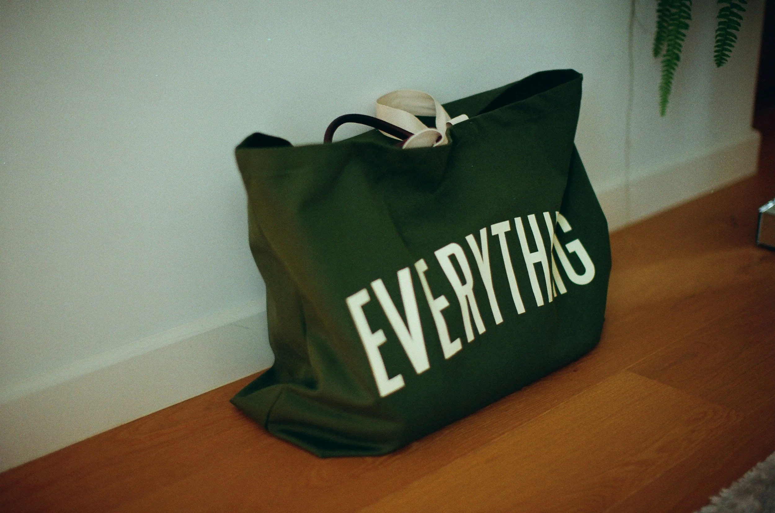 Green shopping bag with white letters spelling "EYO VEYDAS" sitting on a wooden surface in a room with a white wall and a potted fern in the background.