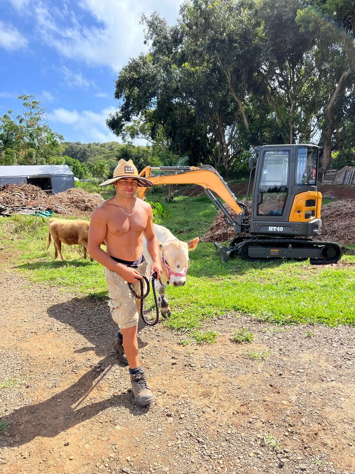 A shirtless man with a wide-brimmed hat and beige cargo shorts walking a small white horse with a pink halter, holding the horse's lead. Behind him, there are cows and a small yellow and black excavator in a green outdoor setting with trees and a partly cloudy sky.