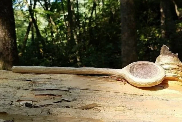 A wooden spoon resting on a fallen tree trunk in a forest setting