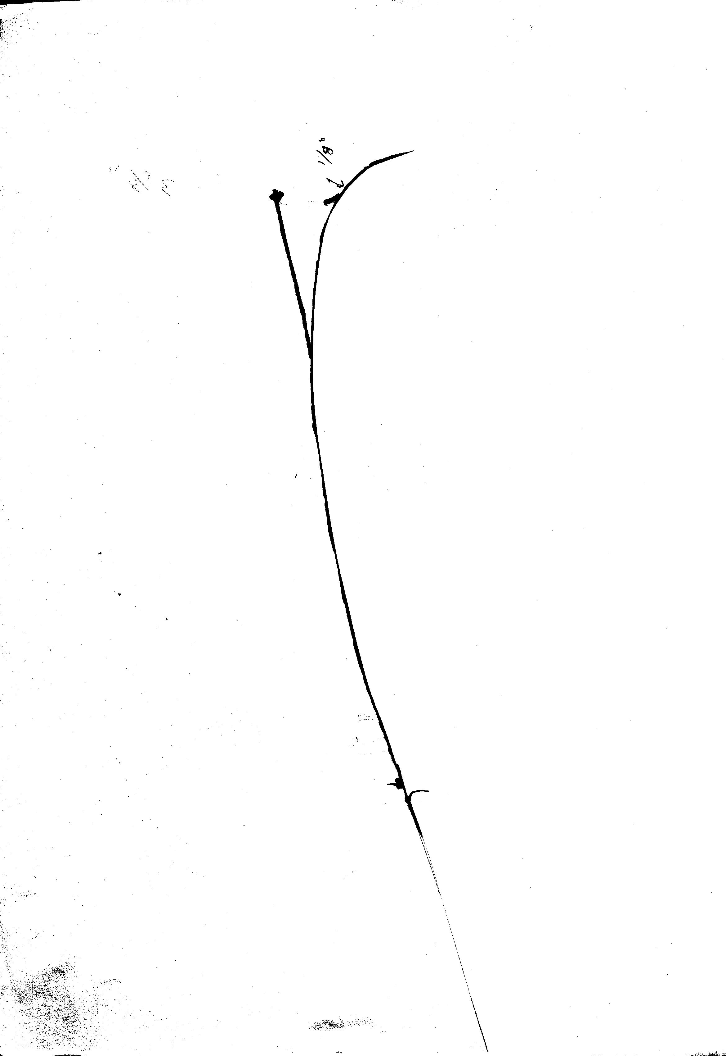 Scan of a scribe