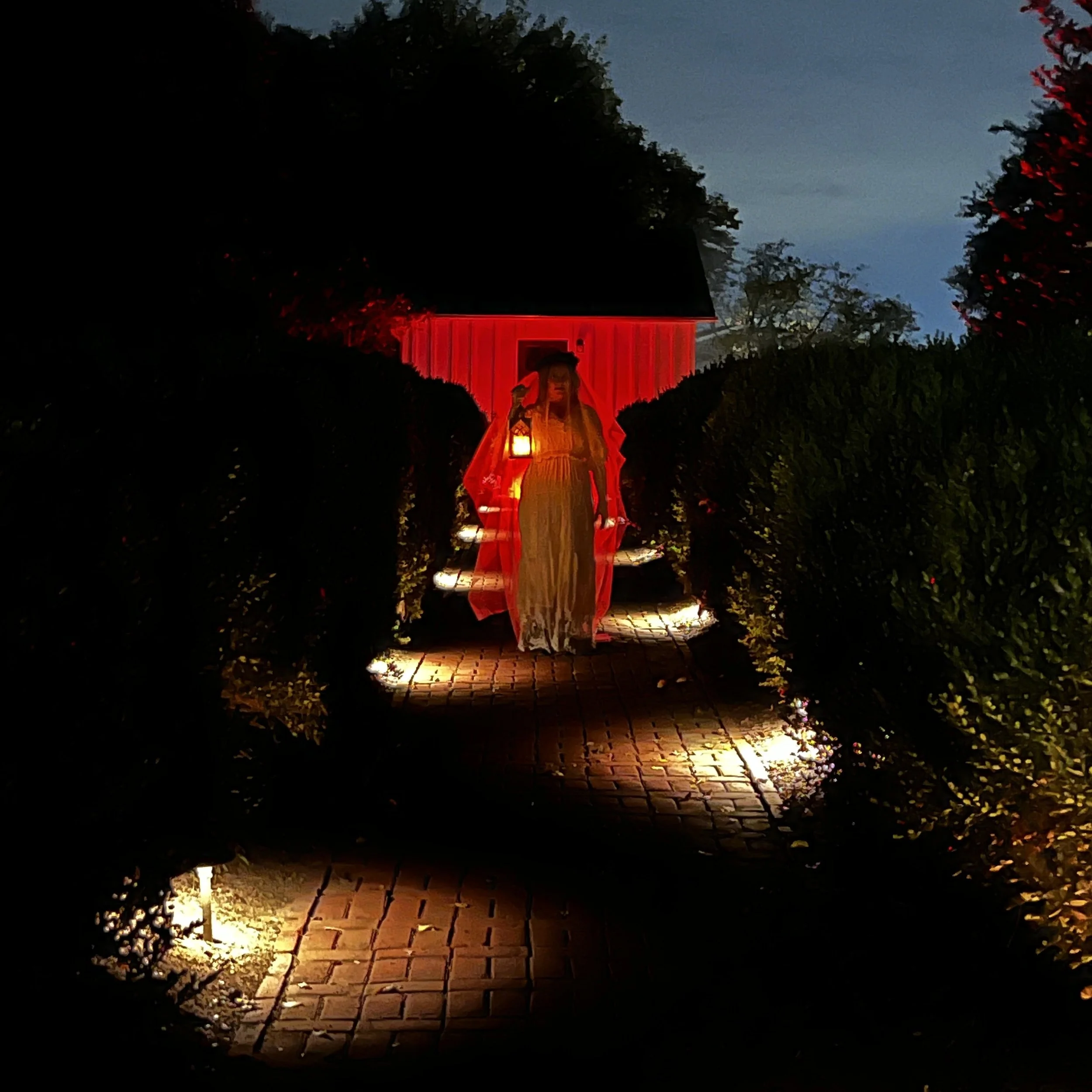 A nighttime scene showing a small brick pathway flanked by bushes, with a red-lit structure in the background, trees, and a dark sky.