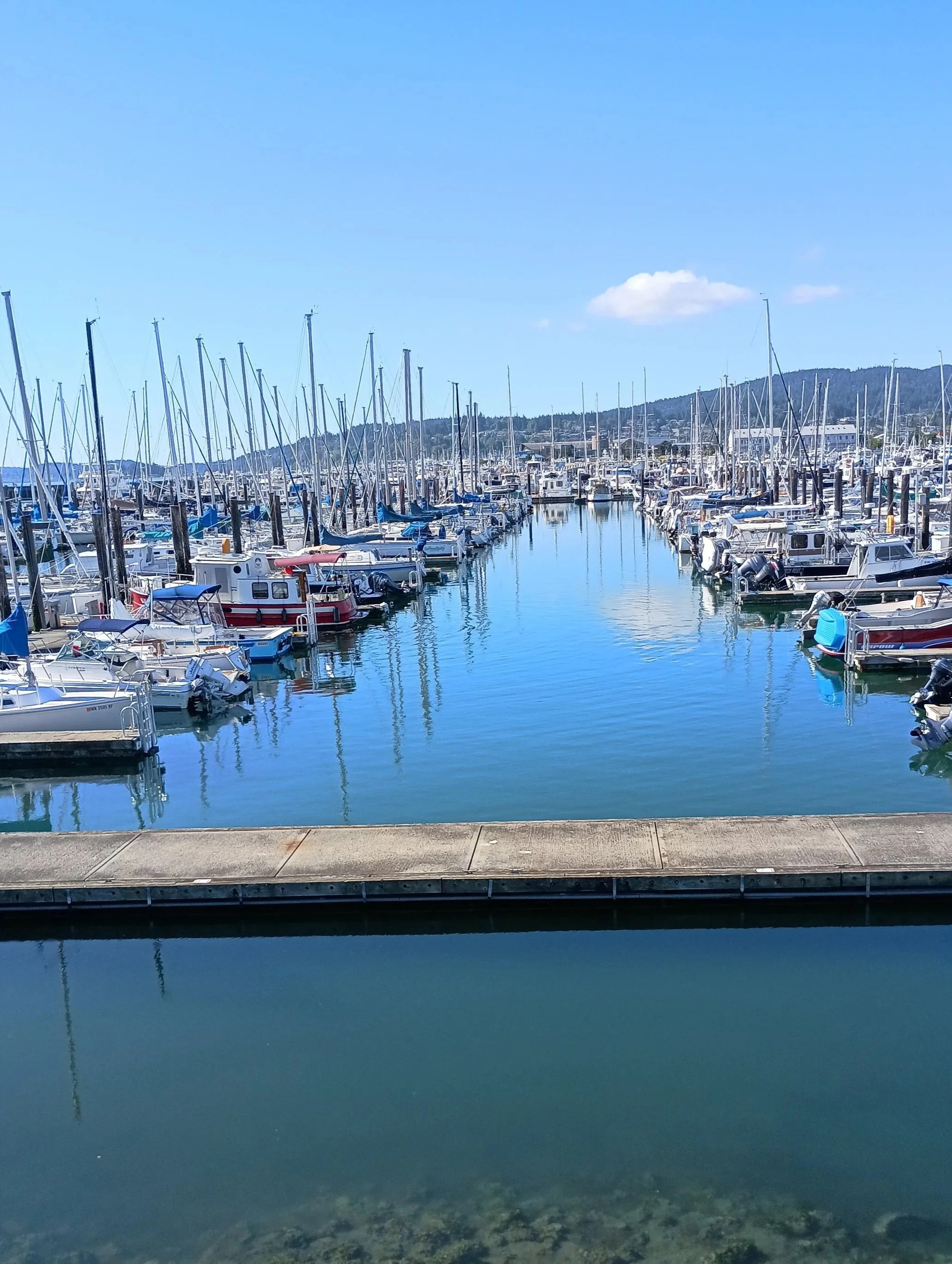 View of a marina at Anacortes, WA. We are at the Anacortes Farmers market through the summer and market season. Anacortes is a historical town with a unique charm. A popular PNW destination for boaters offering whale watching, fishing, and more.