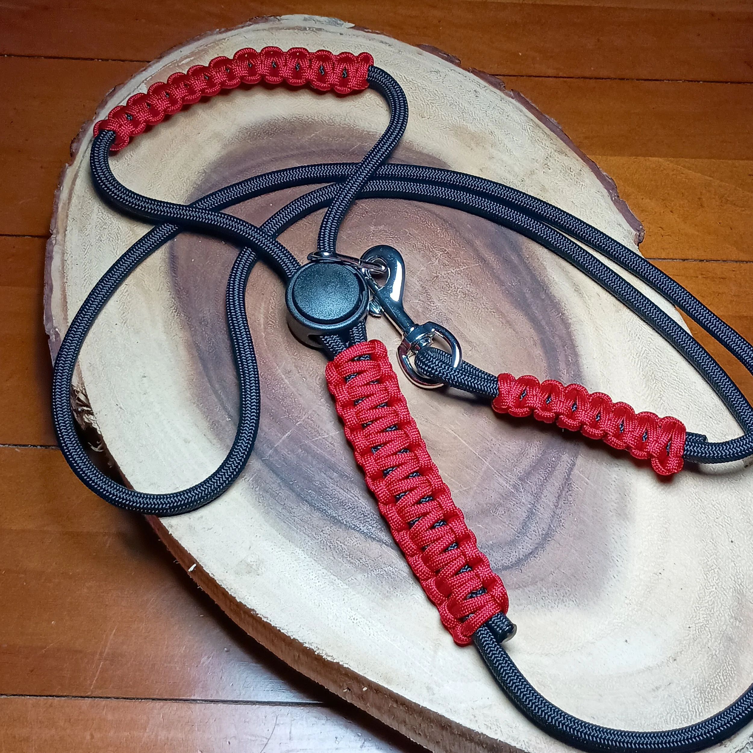 Maxx Leashes 10-1-25 (43).jpg