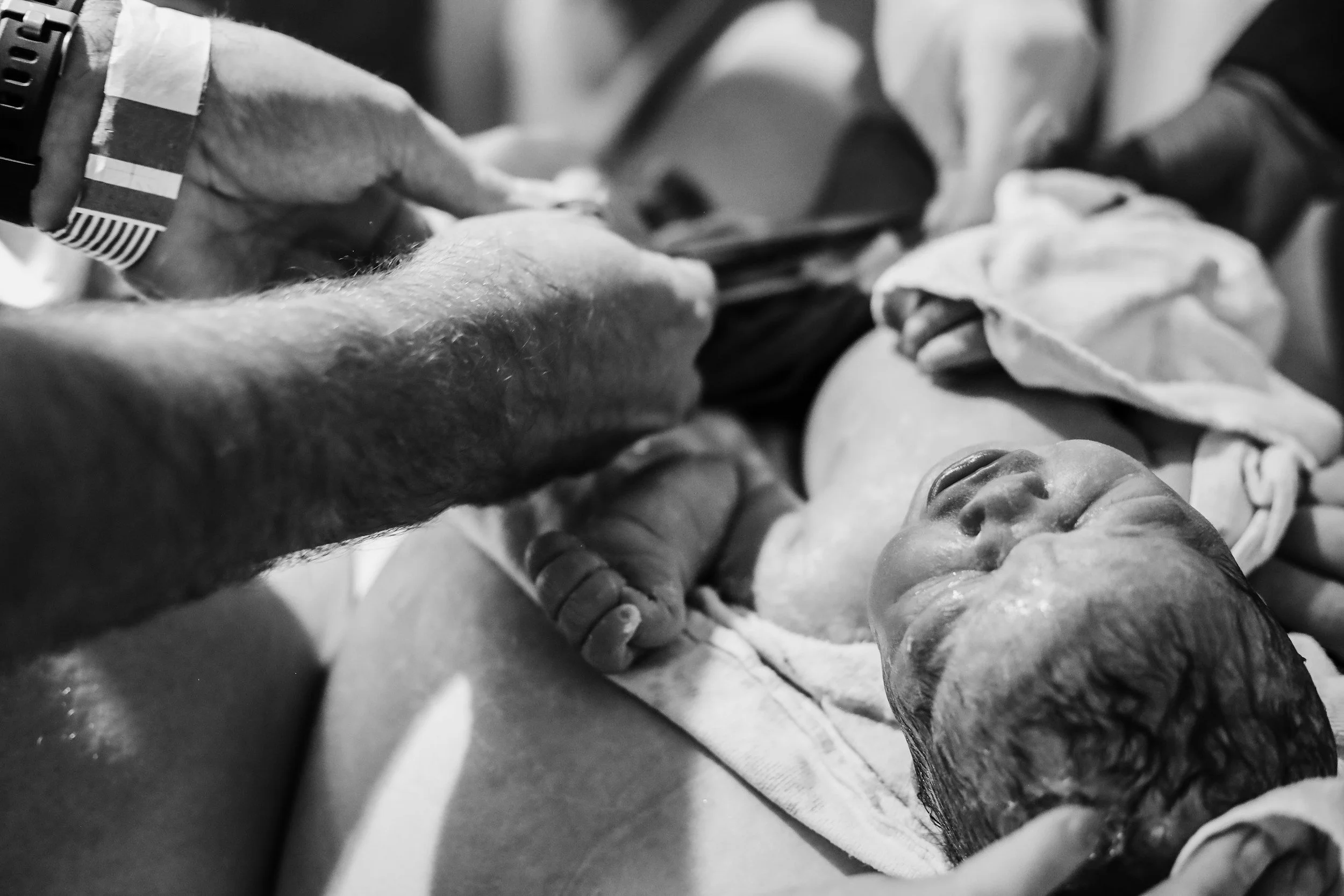 Detail of a parent's hand cradling a newborn's hand during a birth story photography session by Kate See in South East London.