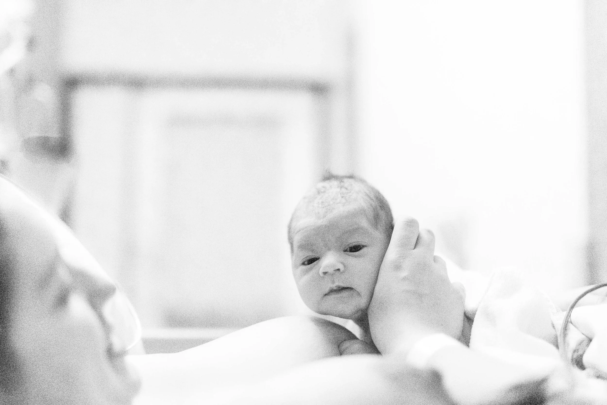 A close-up black and white photo of a newborn baby being held gently by an adult.