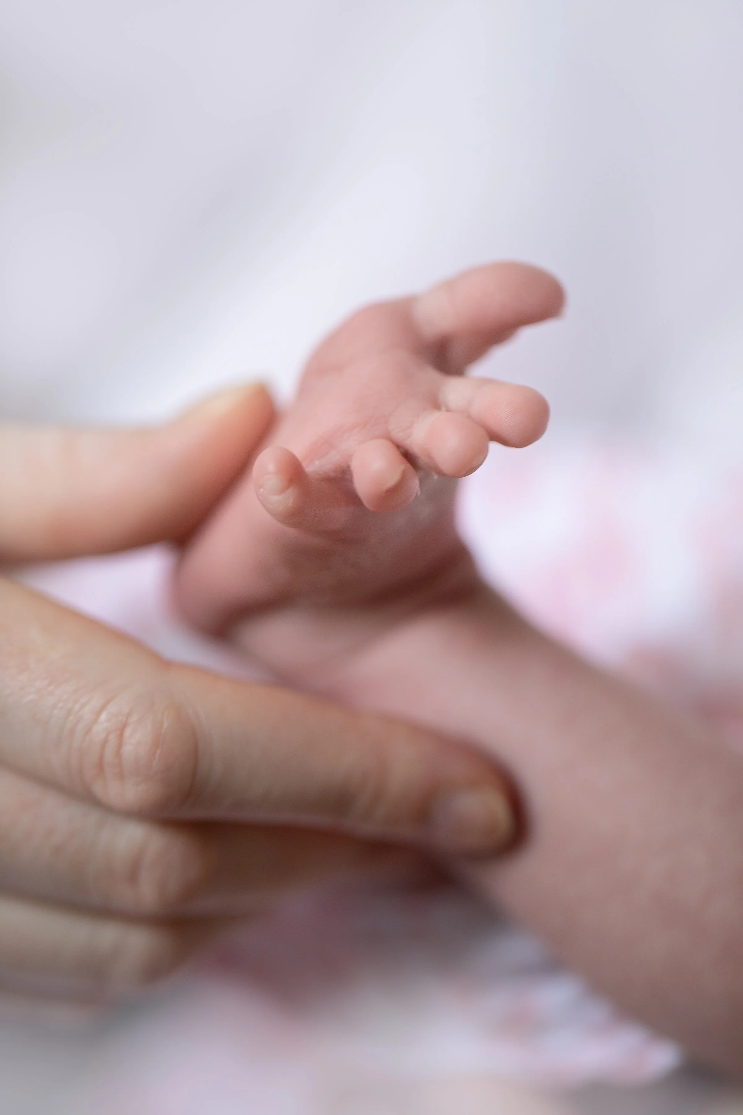 Newborn photographer in Beckenham — in-home session by Kate See Photography