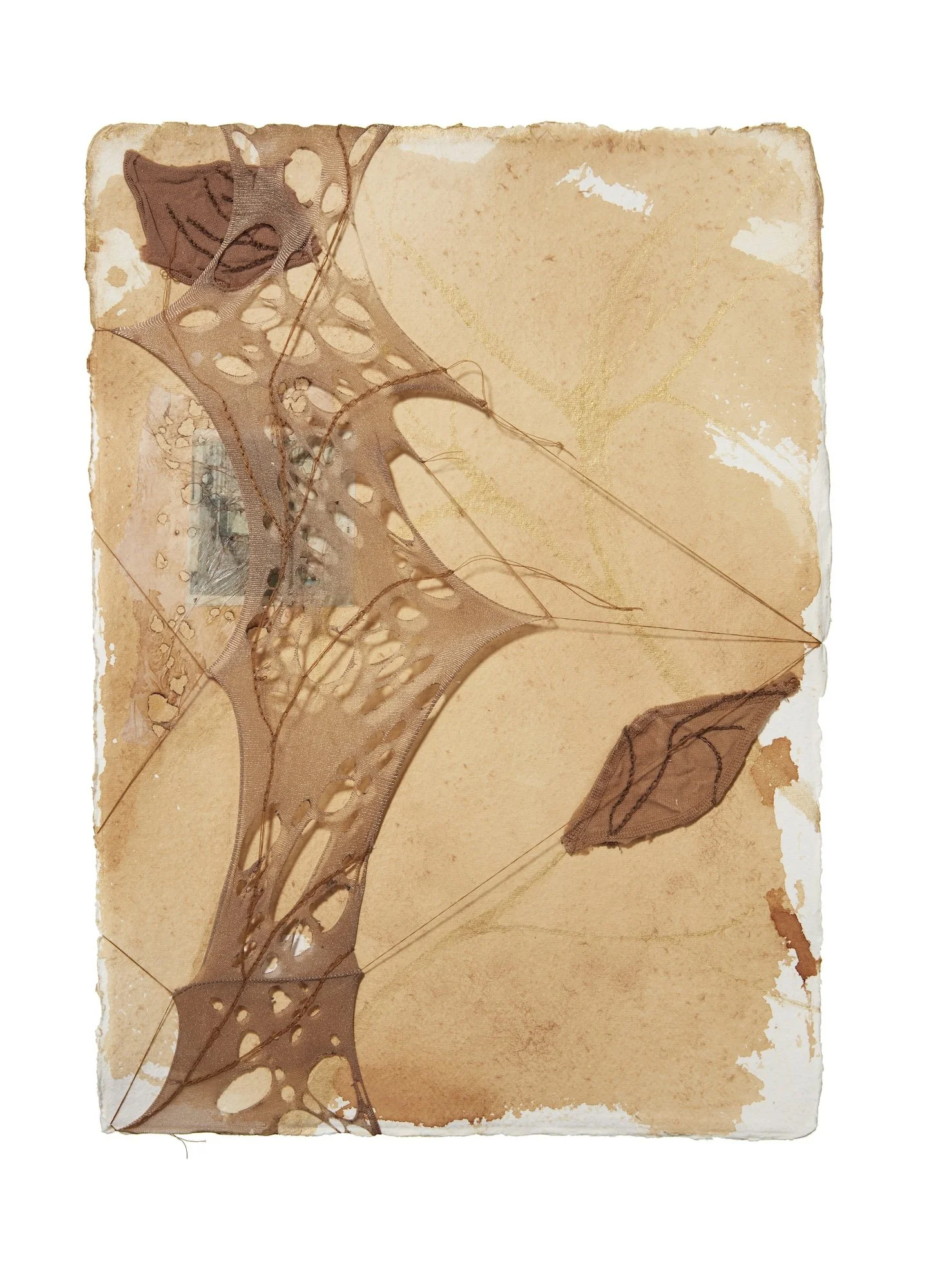 Notes on Paper, Captured Sorrow III (framed), 2021, 42 x 54 x 2cm, used tights, cotton thread, tea stained tissue paper, vintage family photographs printed on tea stained recycled paper and metallic acrylic paint, on tea stained handmade recycled pap
