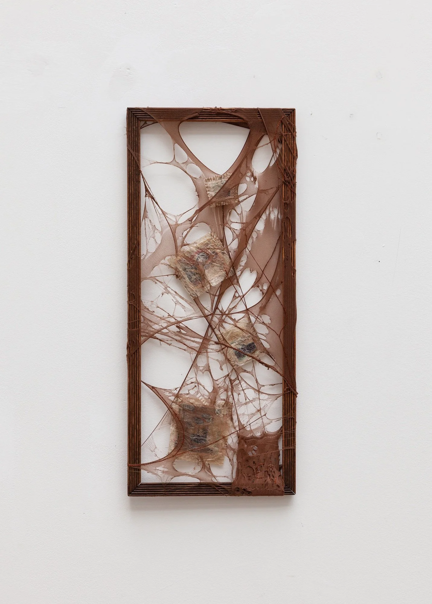 Proclamation II: Birthing canals, passageways of the erotic, virtuous soul, 2021, 23.25 x 54 x 1.5cm, burnout recycled tights, tea stained tissue paper, vintage family and erotica photographs printed on teastained recycled paper on empty vintage pict