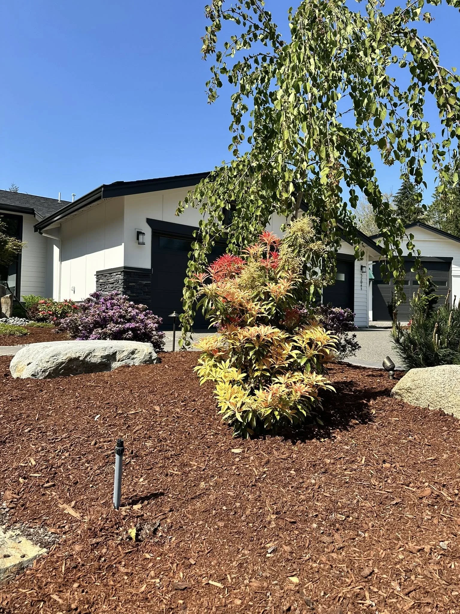 Early Summer Is Here—Is Your Landscape Ready?