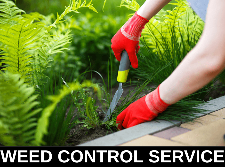 WEED CONTROL SERVICES