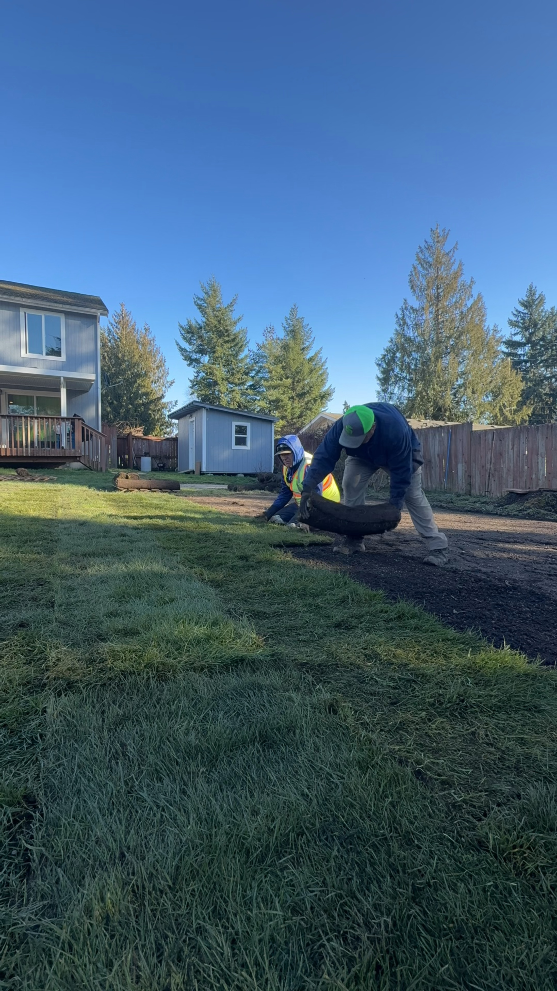 SOD INSTALL SERVICES