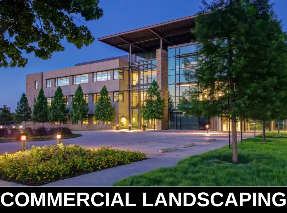 COMMERCIAL LANDSCAPING