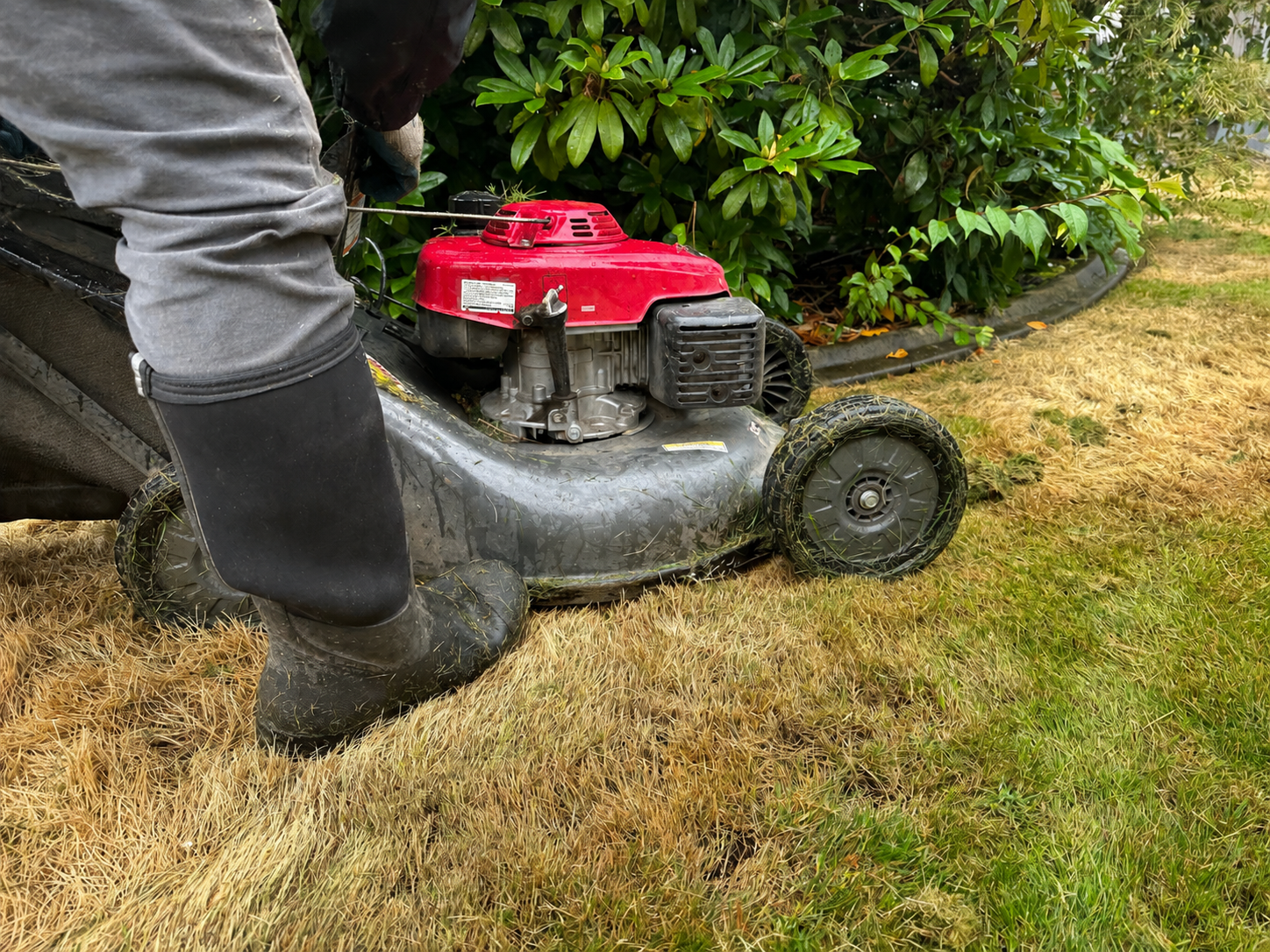 LAWN MOWING SERVICES