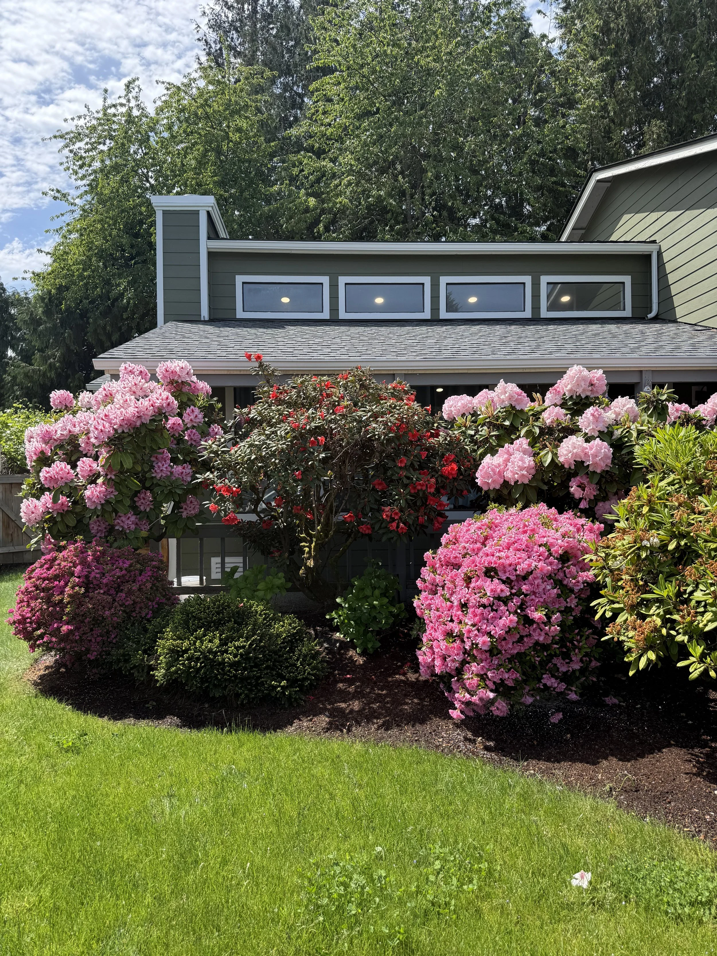 LANDSCAPE DESIGN SERVICE