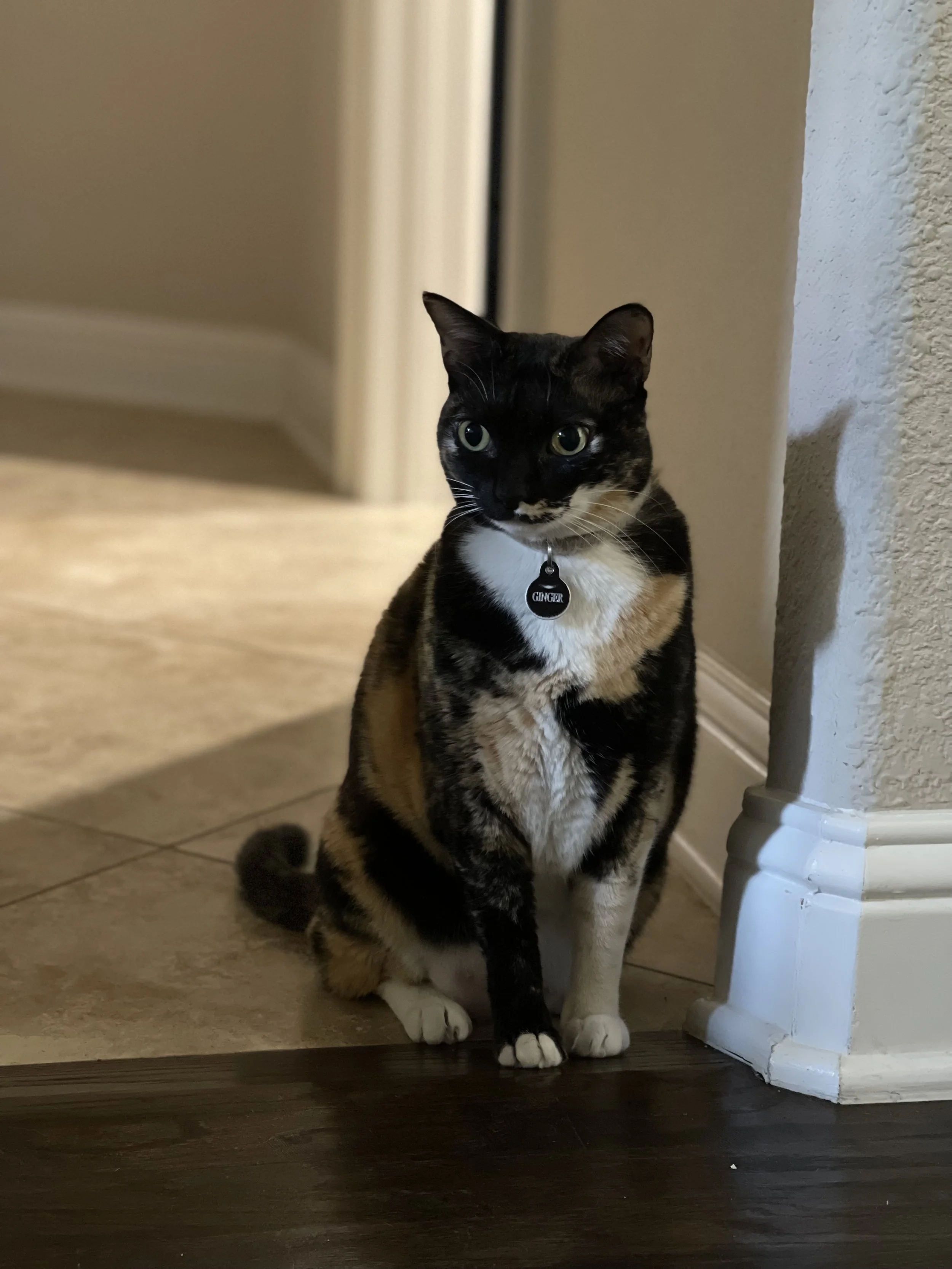 IMG_3515.jpeg