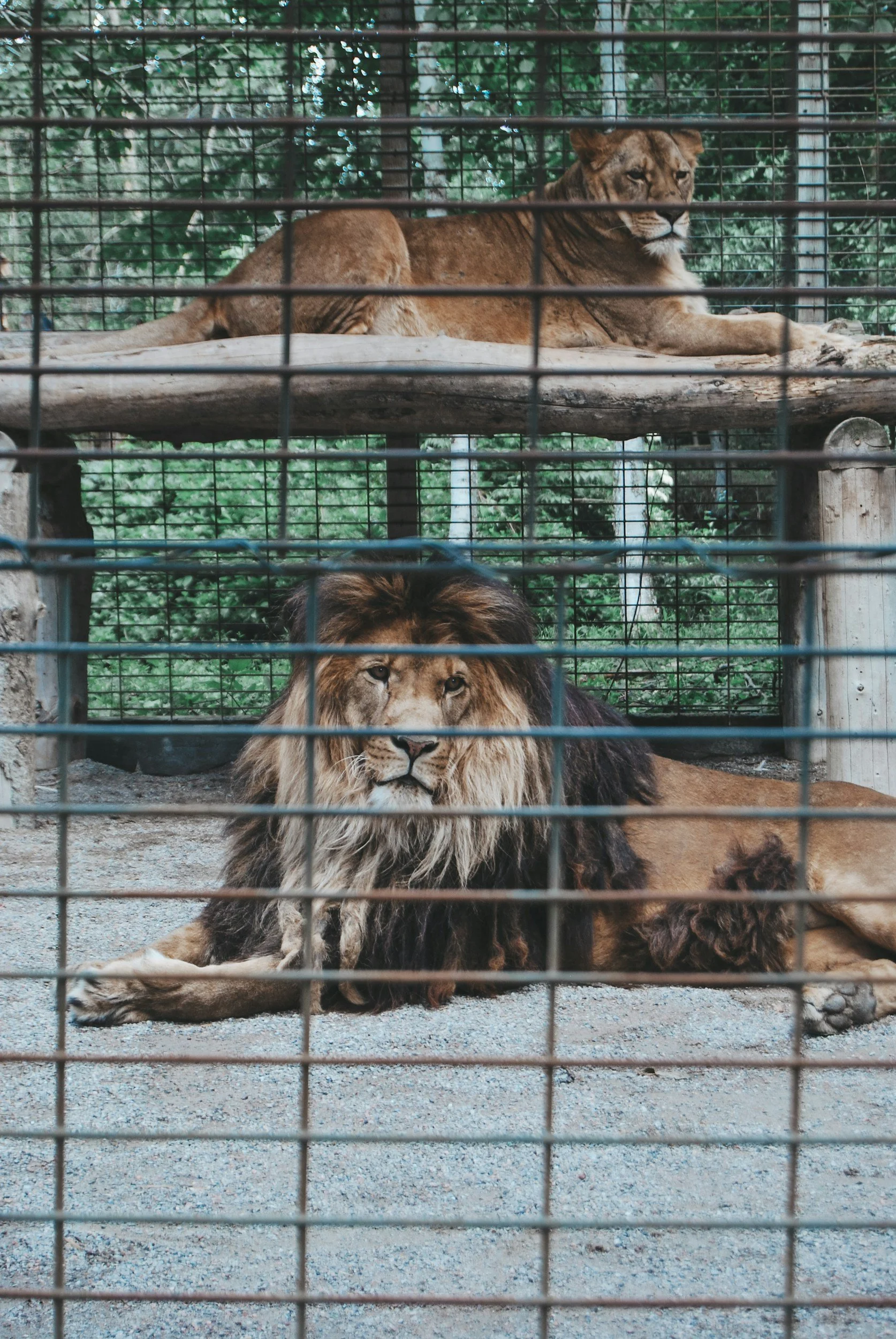unsplash-image-rMB0mzMsI40.jpg