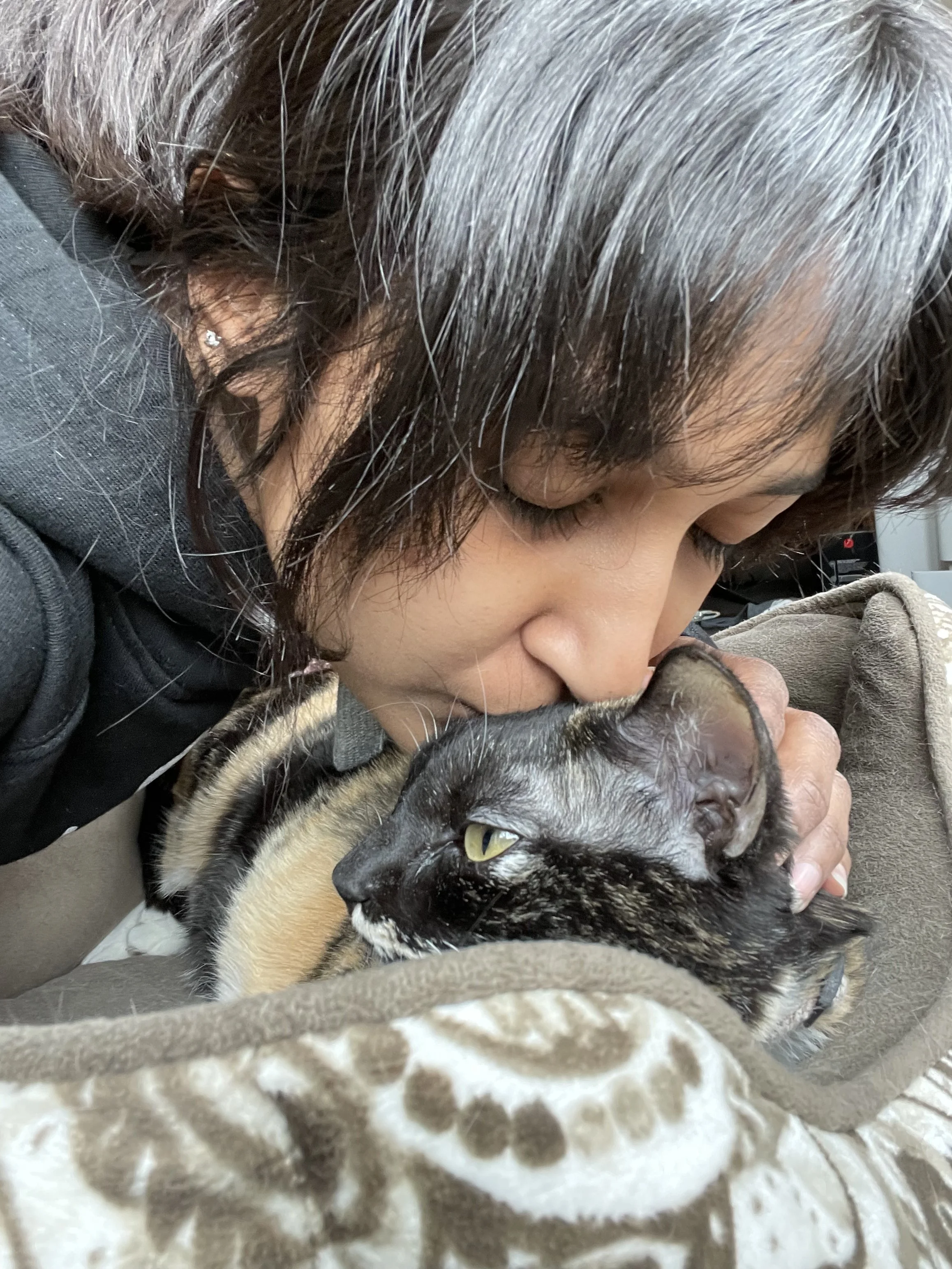 A woman with black hair and a black shirt is kissing a calico cat with yellow eyes and a sleek coat, who is resting on a soft, spotted cat bed.