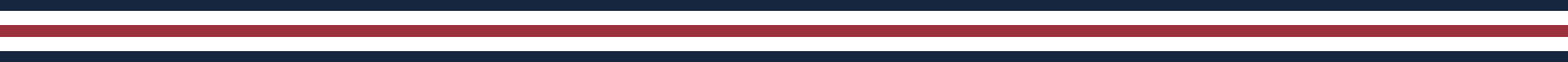 A red and navy stripe design.