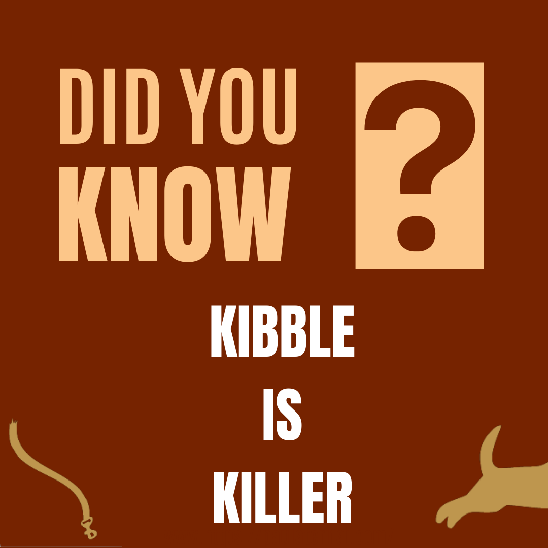 A brown background with the text "Did you know?" and "Kibble is killer". There are also images of a dog leash in the lower left corner and a dog’s paw in the lower right corner.