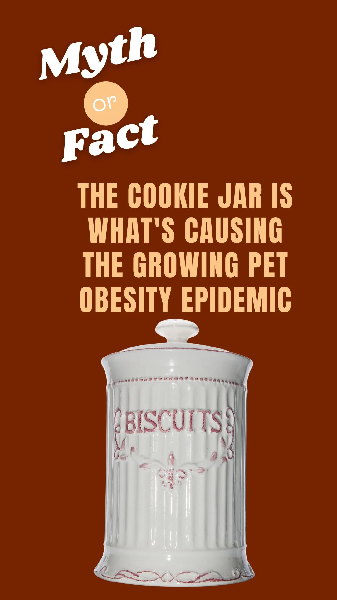 A cookie jar with the word 'BISCUITS' written on it, against a brown background with text explaining a myth about cookies causing pet obesity.