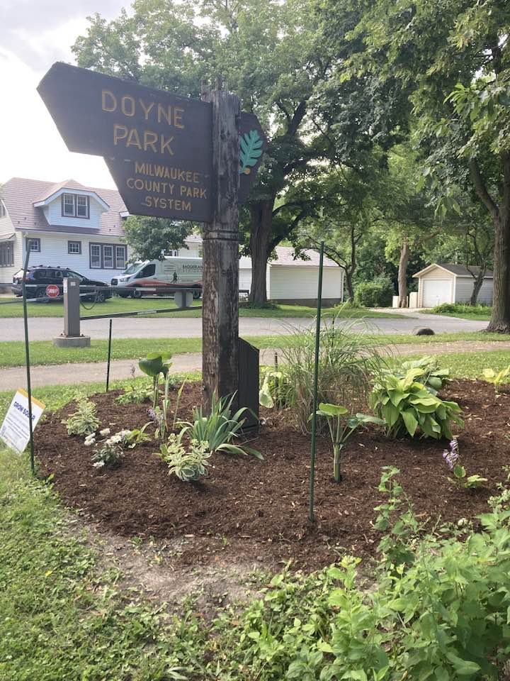 Doyne Park Weedout