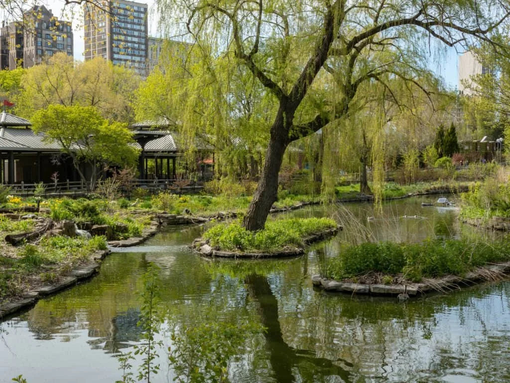 The Lincoln Park Zoo.  Just a few blocks from Lola's office and  The Grizzly