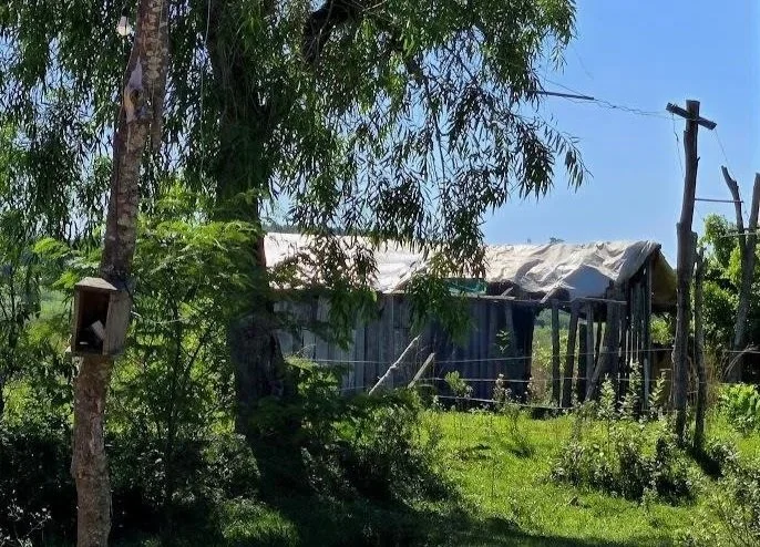 A one room house in the Paraguay's Chaco.