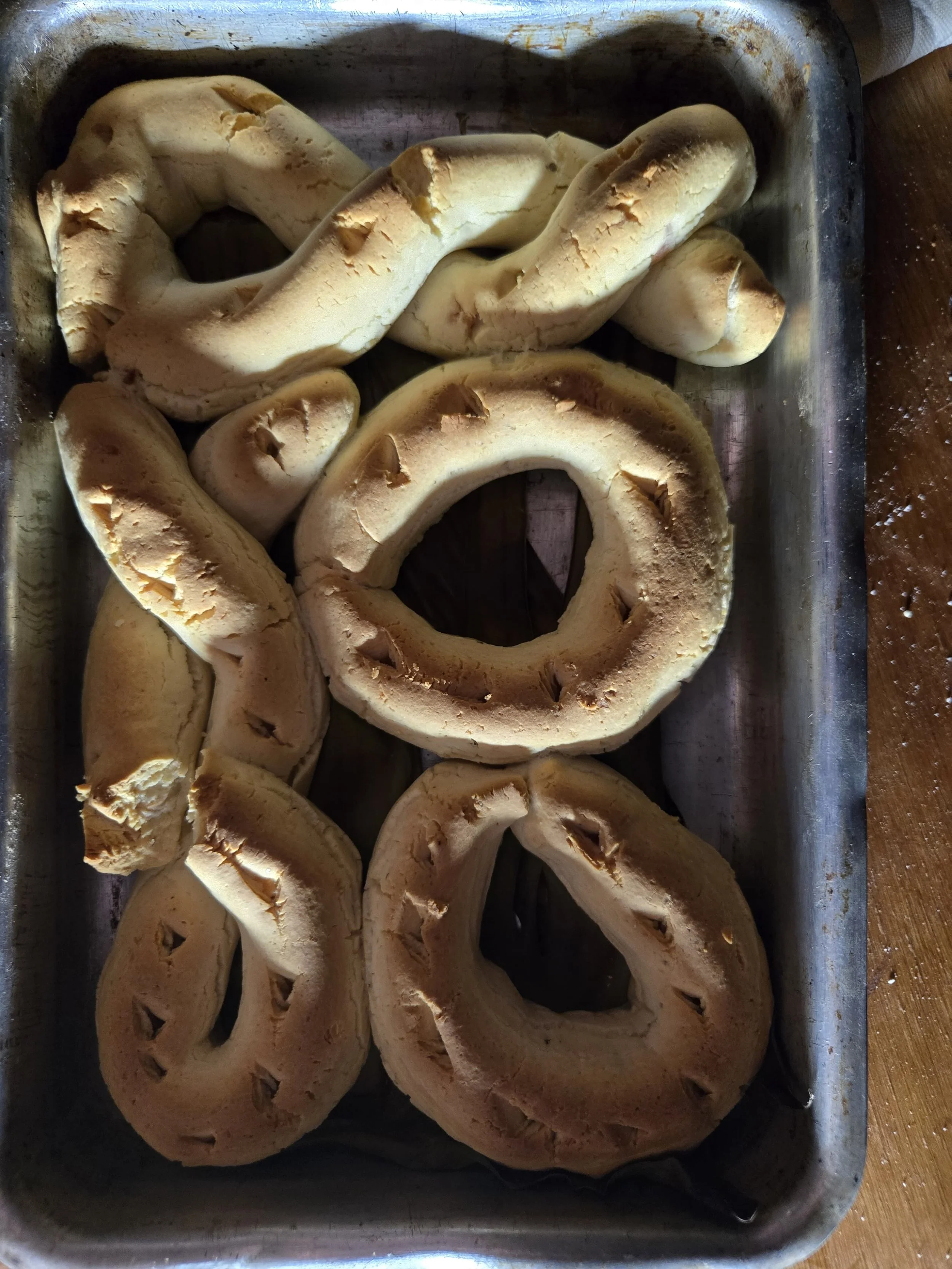Chipas right out of the Tatakua